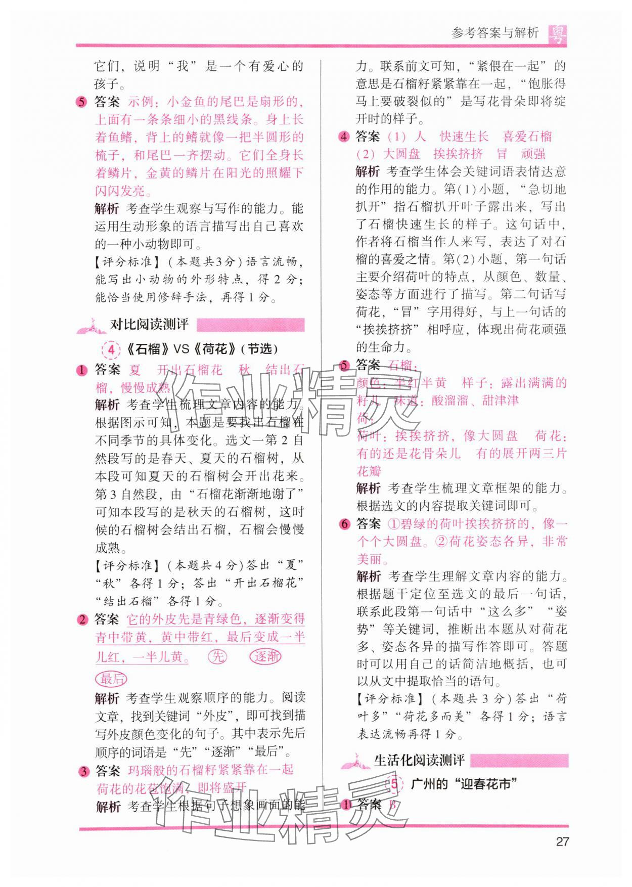 2025年木頭馬閱讀力測評三年級語文下冊人教版B版廣東專版 第9頁
