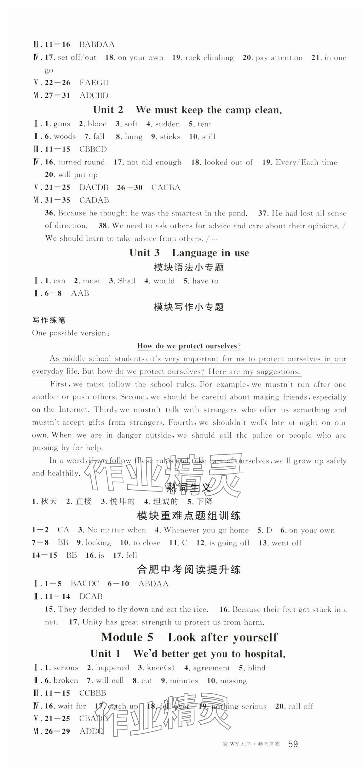 2025年名校課堂九年級英語下冊外研版1合肥專版 參考答案第4頁
