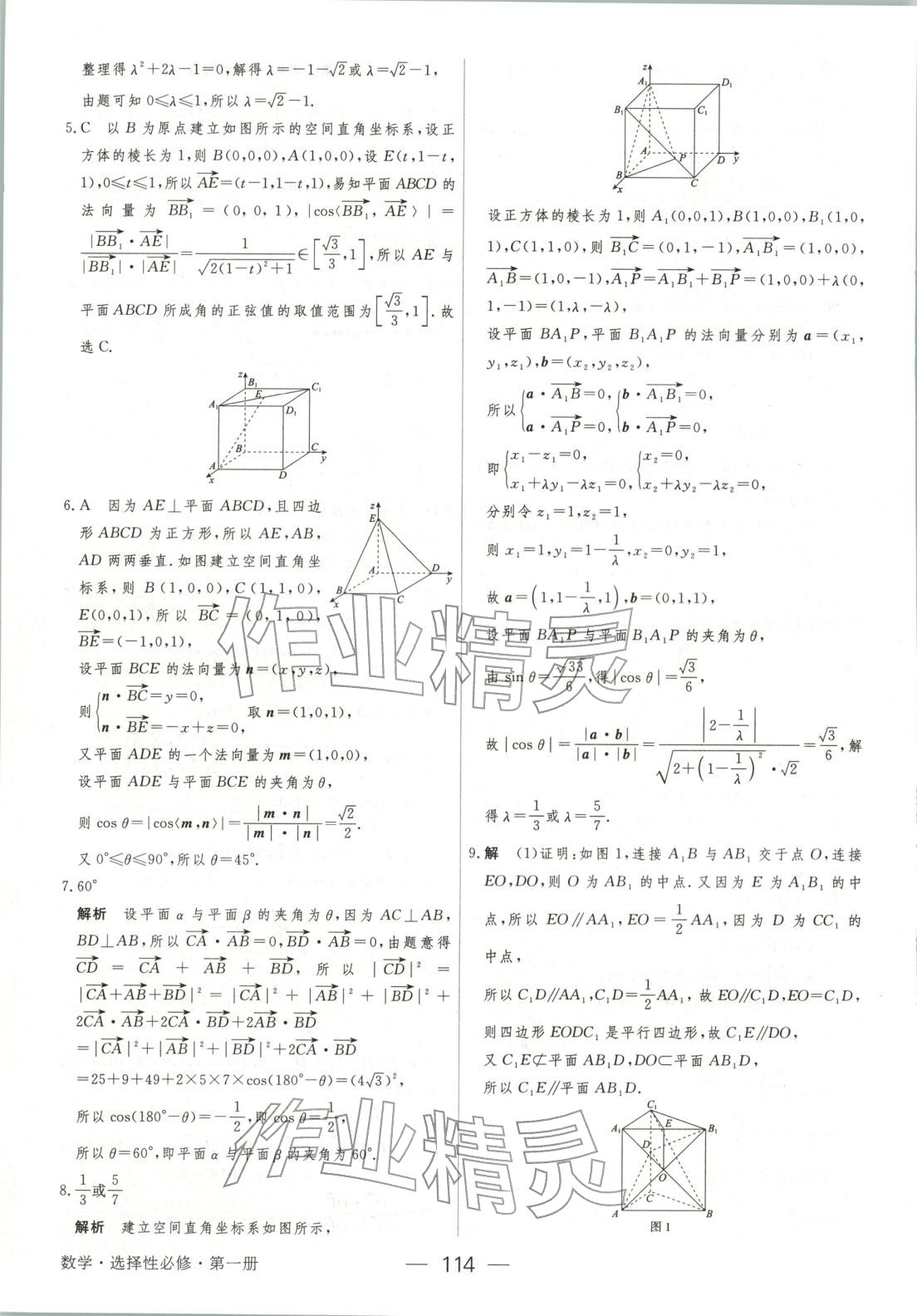 2025年绿色通道45分钟课时作业与单元测评高中数学选择性必修第一册人教版 第21页