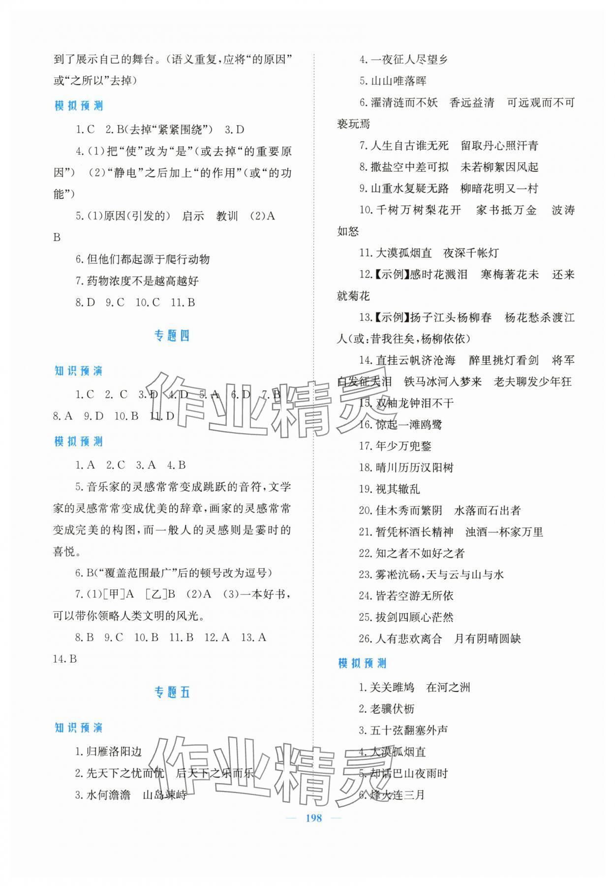 2024年新優(yōu)化設(shè)計(jì)初中總復(fù)習(xí)語(yǔ)文 參考答案第2頁(yè)