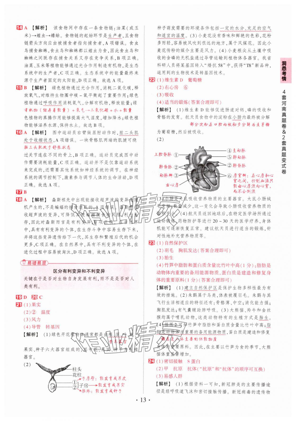 2025年鼎成中考河南中考真題匯編生物中考&nbsp;第13頁