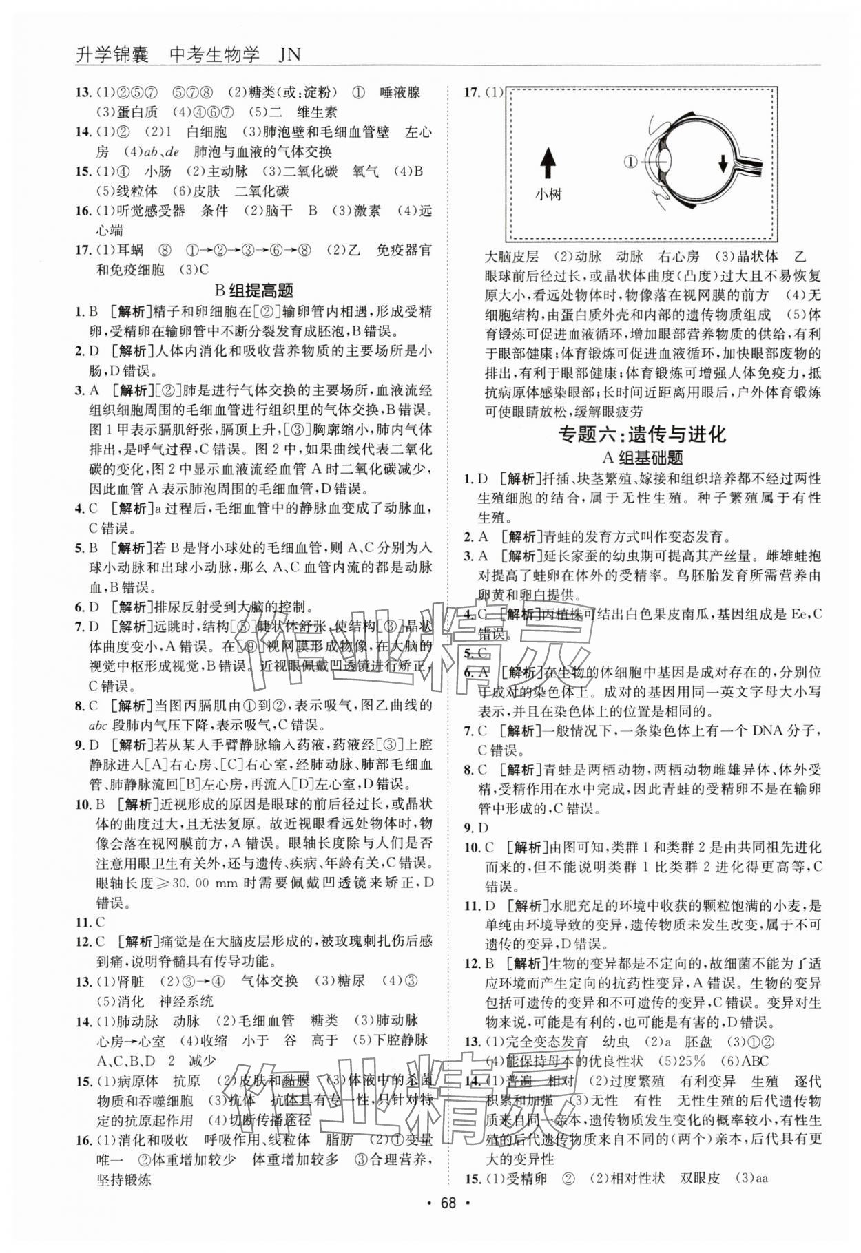 2025年升學(xué)錦囊生物濟(jì)南版 參考答案第4頁(yè)