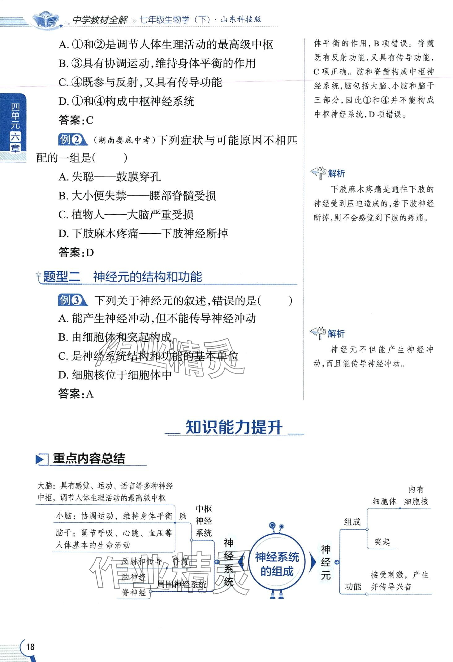 2024年教材课本七年级生物下册鲁科版&nbsp;第18页