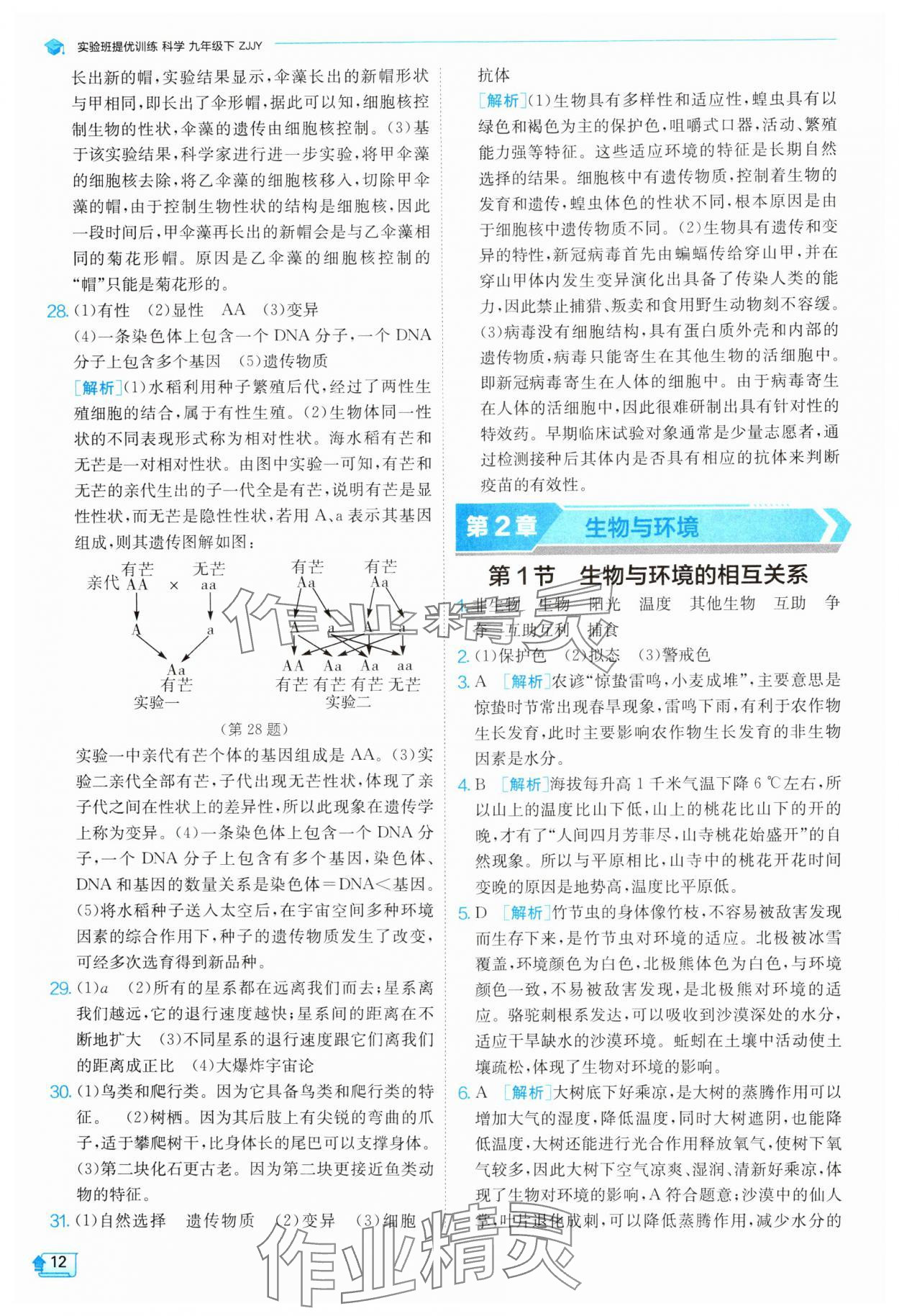 2025年實驗班提優(yōu)訓練九年級科學下冊浙教版 參考答案第12頁