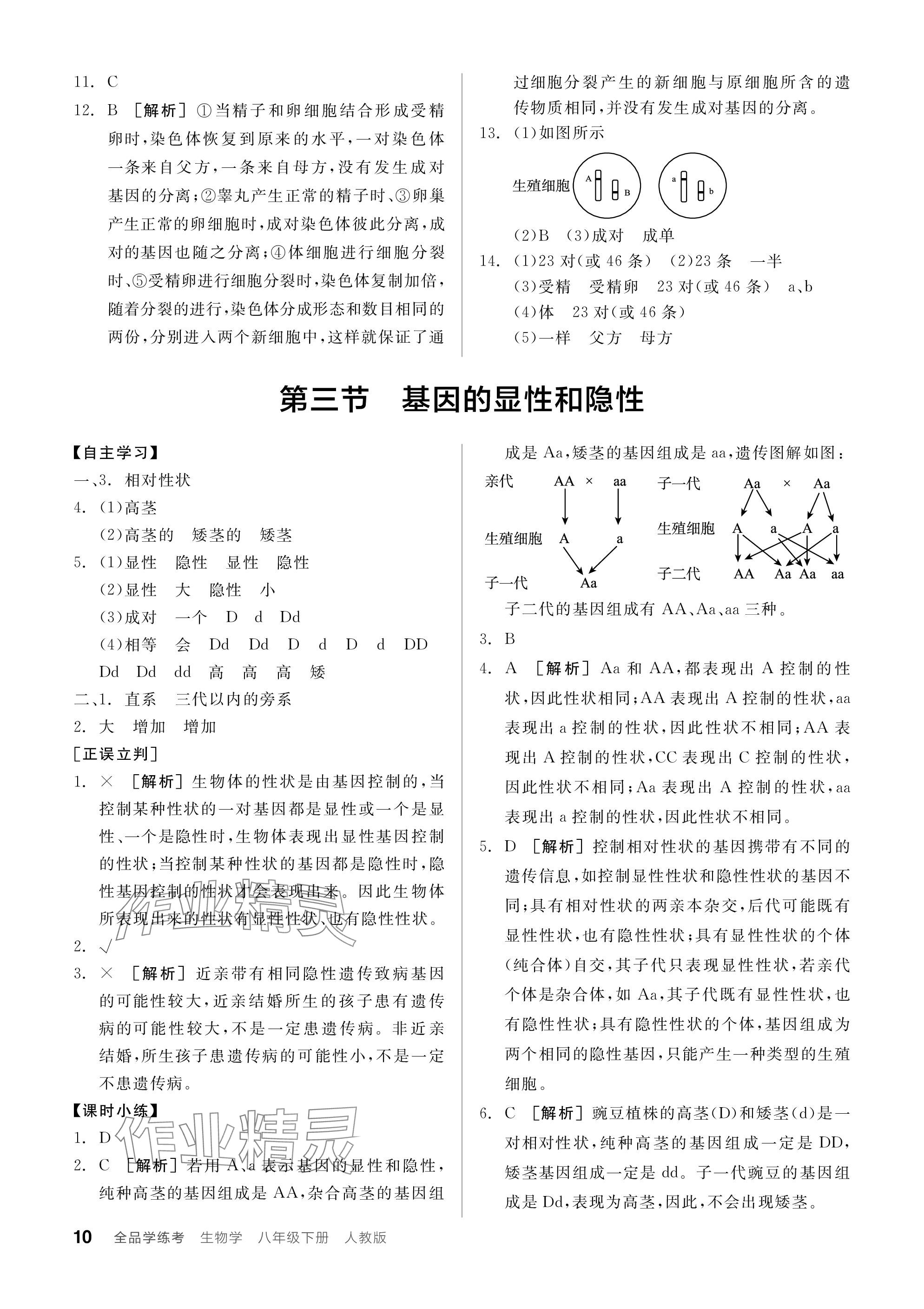 2024年全品學練考八年級生物下冊人教版 參考答案第10頁