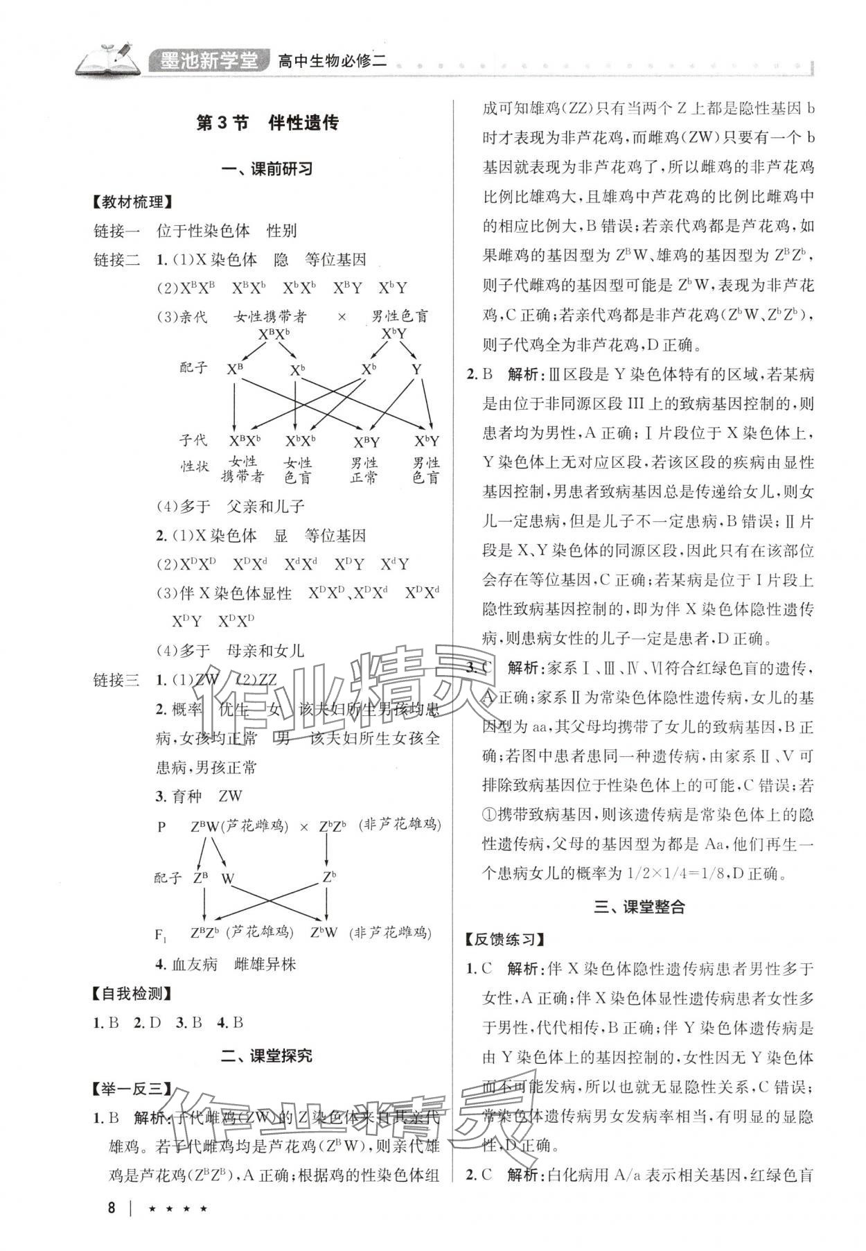 2025年墨池新學堂高中生物必修2人教版 參考答案第8頁