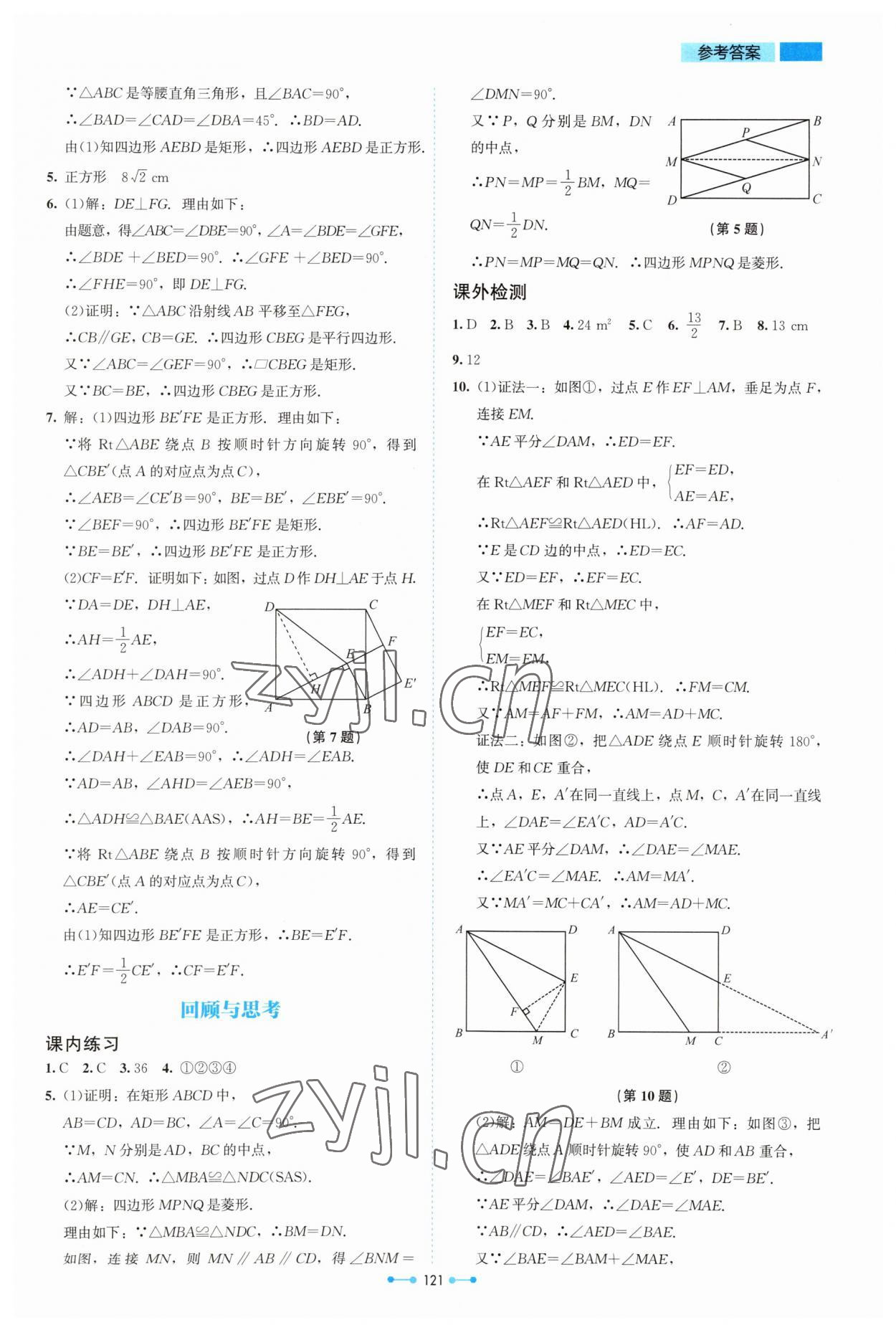 2023年伴你學北京師范大學出版社九年級數(shù)學上冊北師大版 第5頁