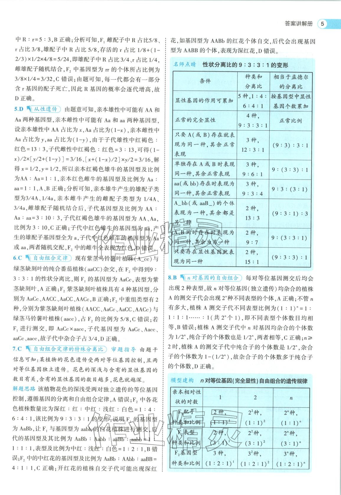 2026年53高中全优卷高中生物必修第二册人教版&nbsp;第5页