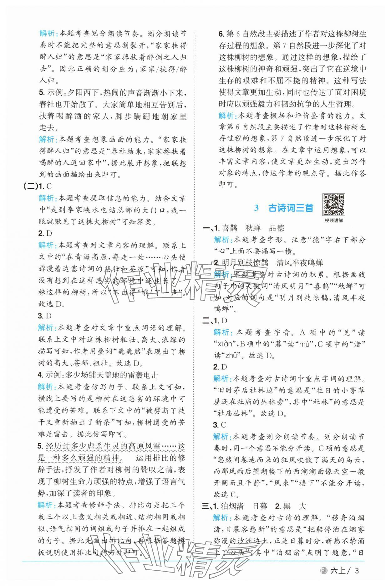 2025年陽光同學(xué)課時優(yōu)化作業(yè)六年級語文上冊人教版福建專版 參考答案第3頁