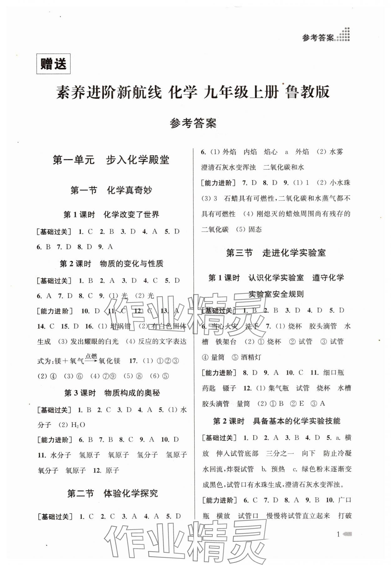 2025年素养进阶新航线九年级化学上册鲁教版 第1页