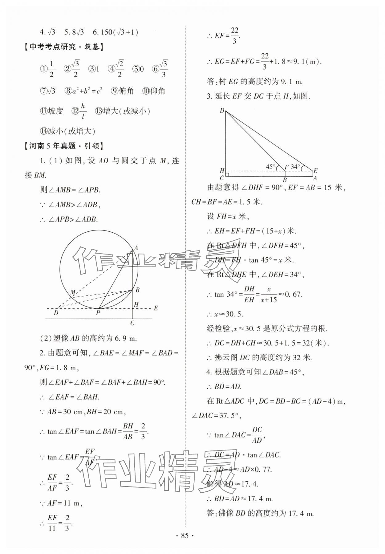 2025年初中學業(yè)水平考試復習指導數(shù)學河南專版 參考答案第11頁
