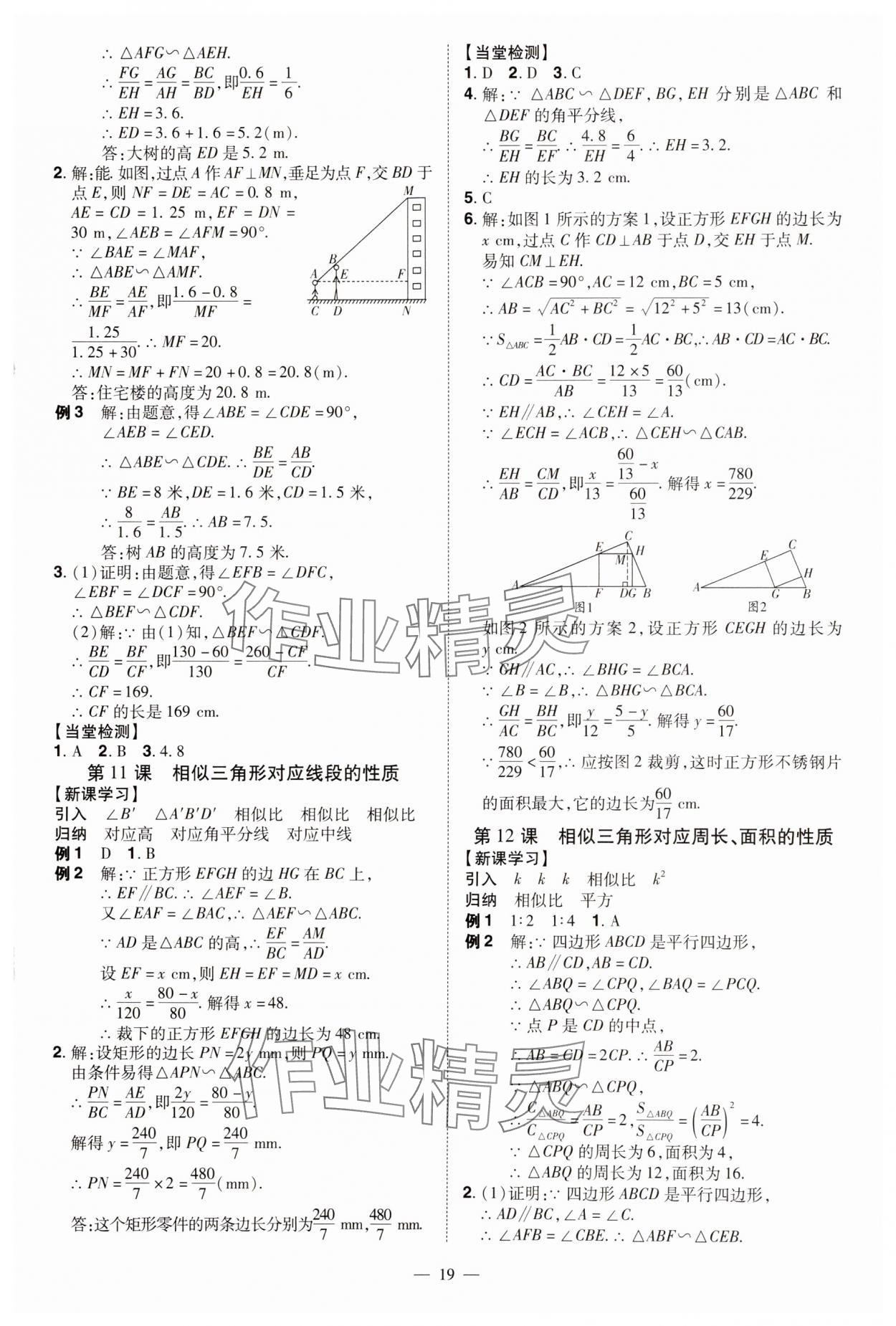 2024年同步沖刺九年級數學全一冊北師大版 第19頁