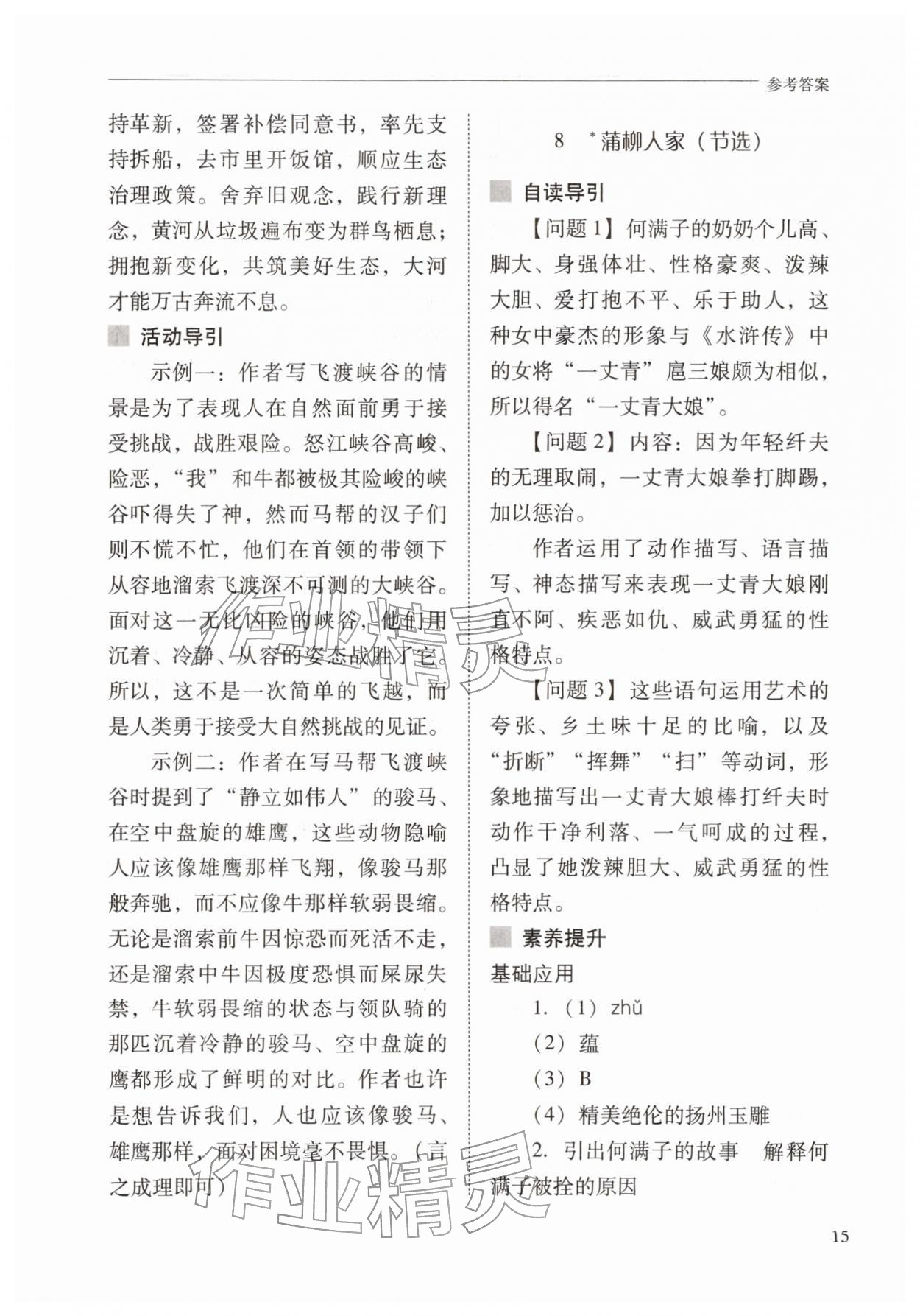 2026年新课程问题解决导学方案九年级语文下册人教版&nbsp;第15页