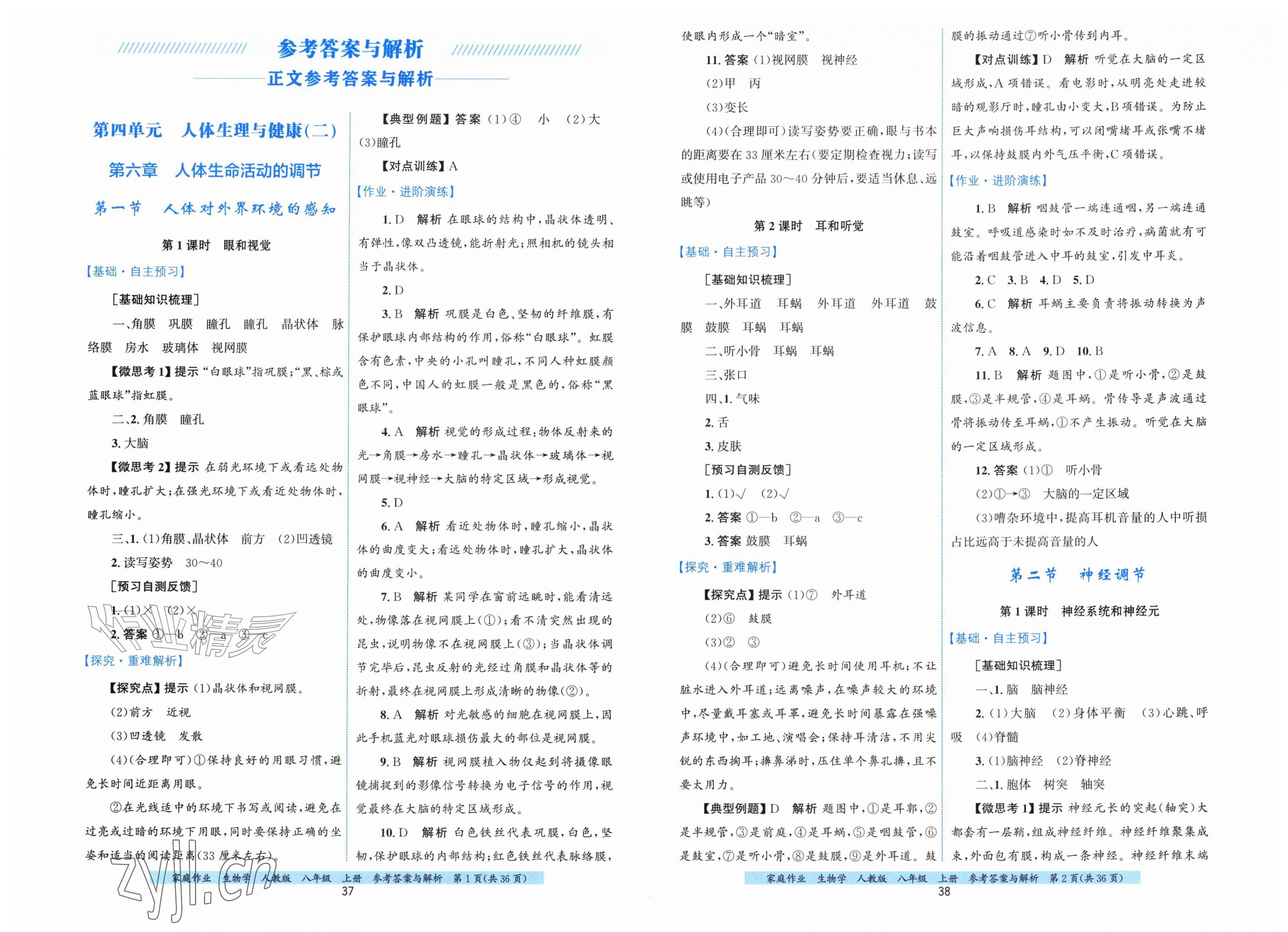 2026年家庭作业八年级生物上册人教版&nbsp;第1页