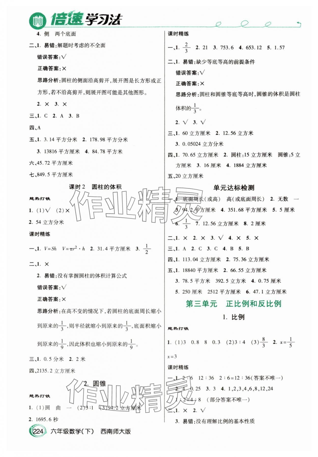 2024年倍速學習法六年級數(shù)學下冊西師大版 參考答案第3頁