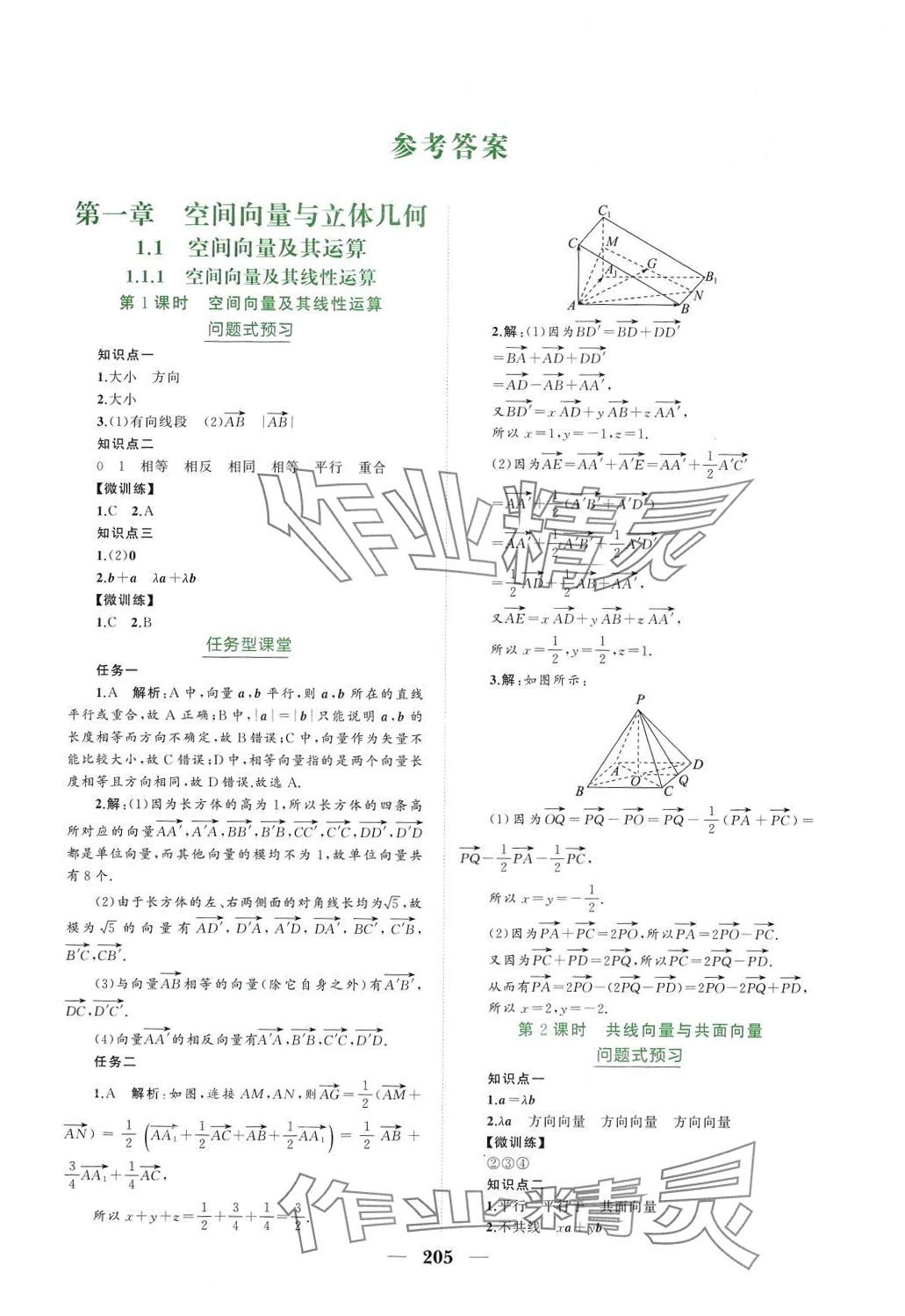 2024年点金训练高中数学选择性必修第一册人教版 参考答案第1页