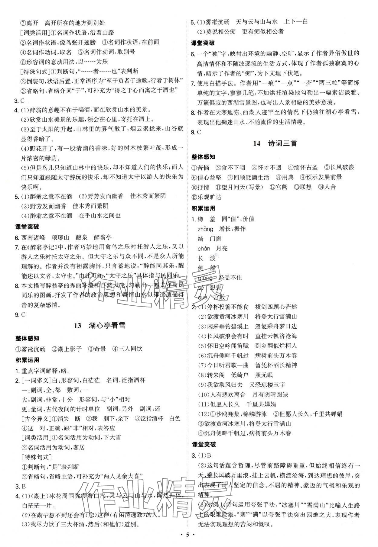 2024年新結(jié)構(gòu)學(xué)習(xí)測(cè)評(píng)九年級(jí)語文全一冊(cè)人教版 第5頁