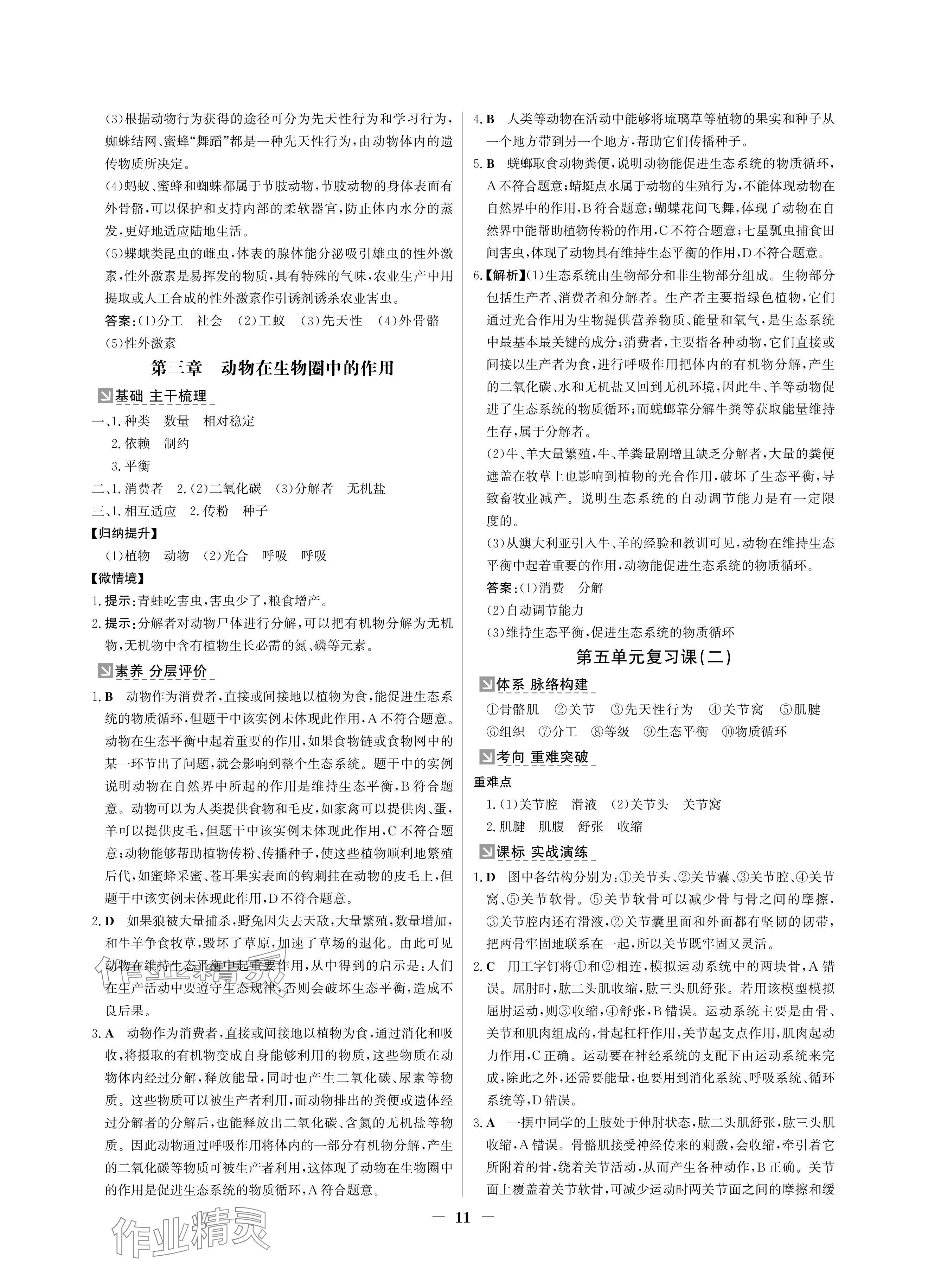 2024年南方新課堂金牌學(xué)案八年級生物上冊人教版深圳專版 參考答案第11頁