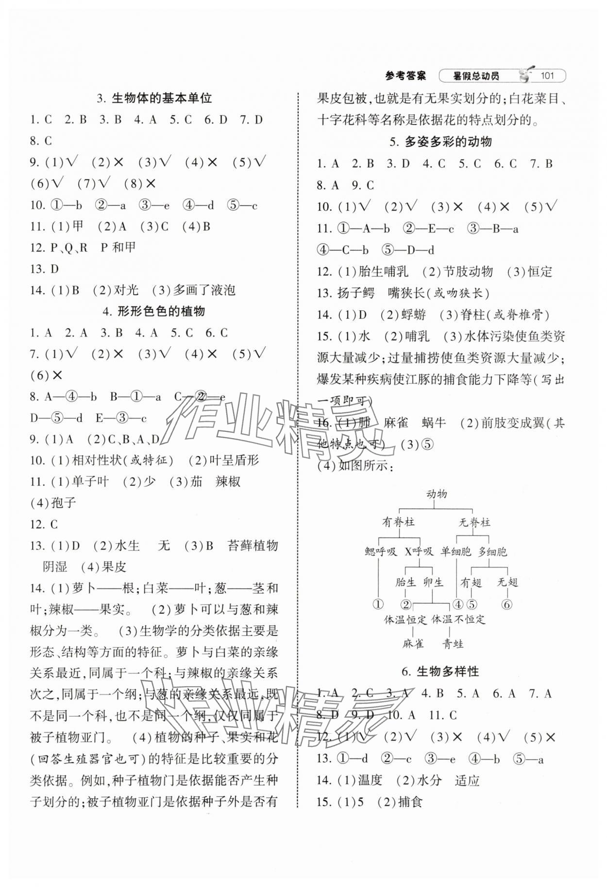 2025年暑假总动员宁夏人民教育出版社七年级科学浙教版 参考答案第2页