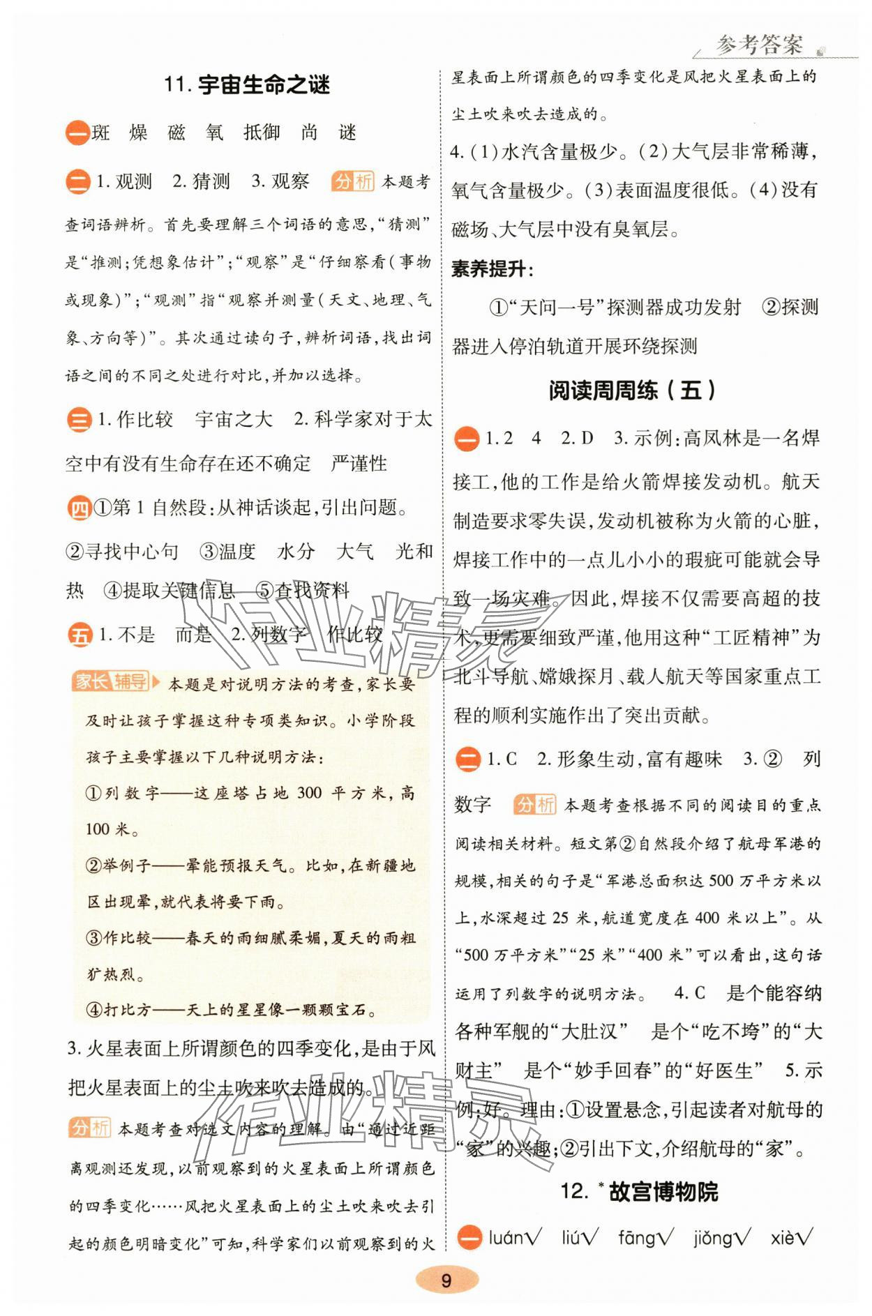 2025年黄冈同步训练六年级语文上册人教版&nbsp;参考答案第9页