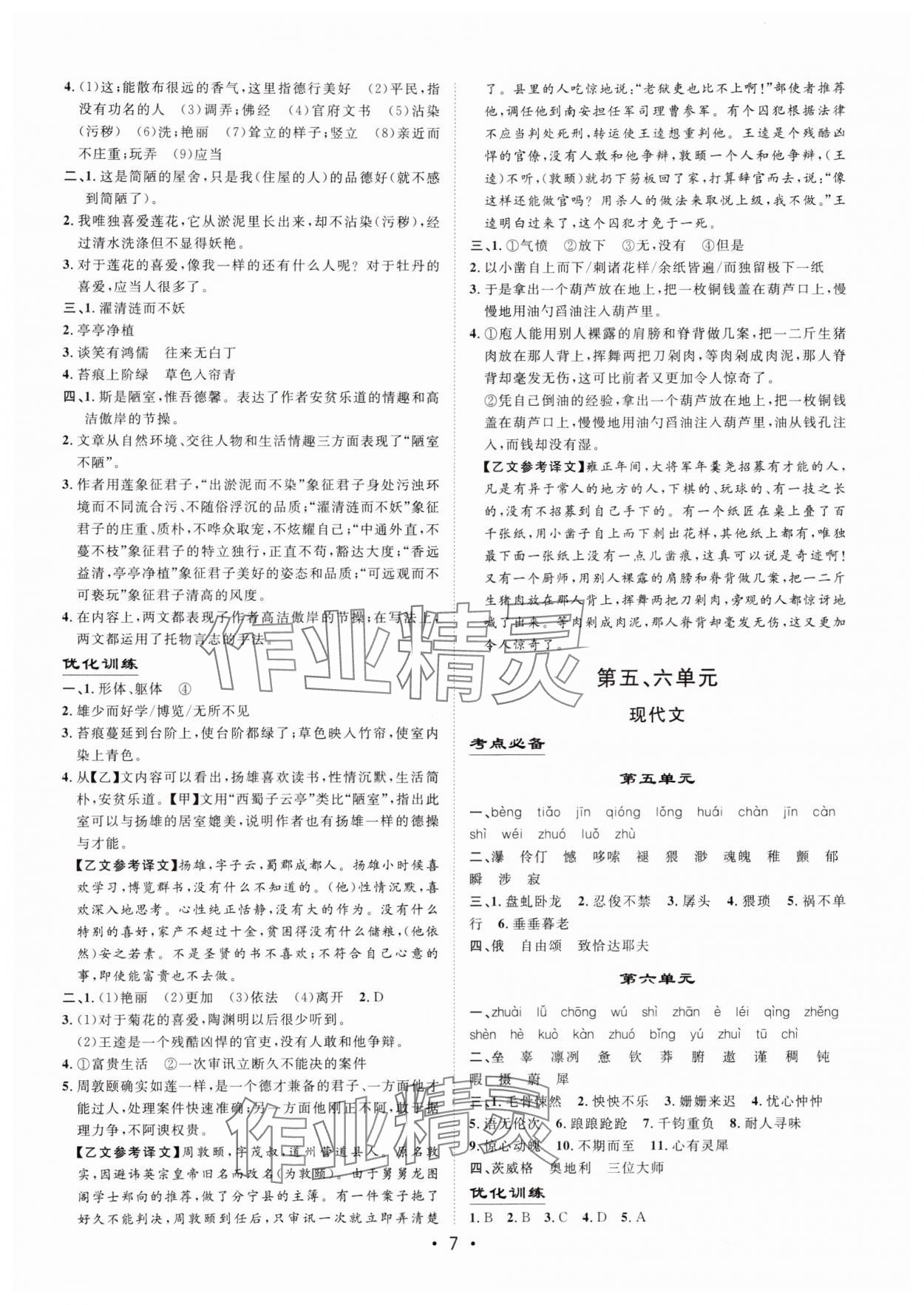 2025年大中考总复习语文内蒙古专版 第7页