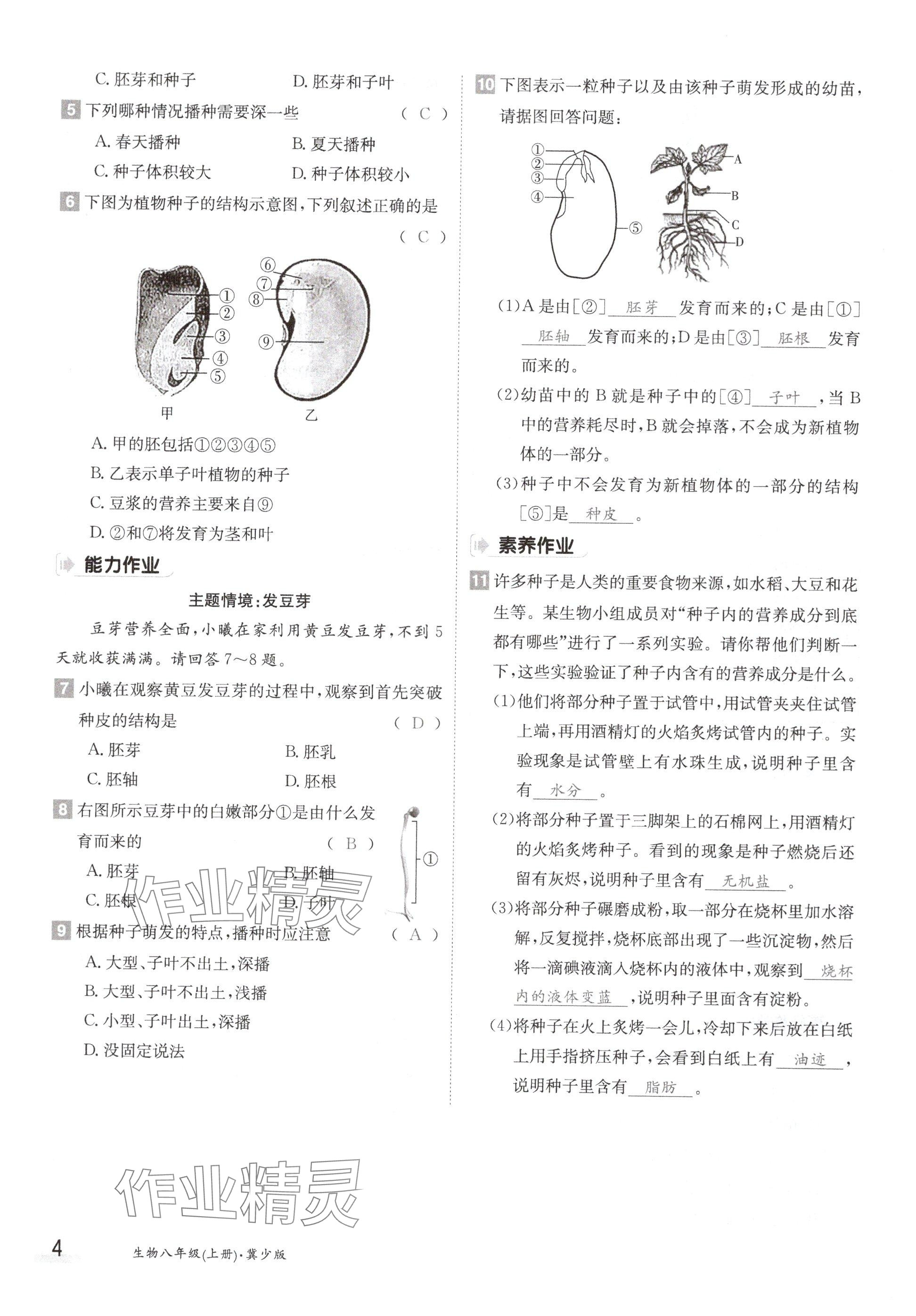 2024年金太陽導(dǎo)學(xué)案八年級(jí)生物上冊(cè)冀少版 參考答案第4頁