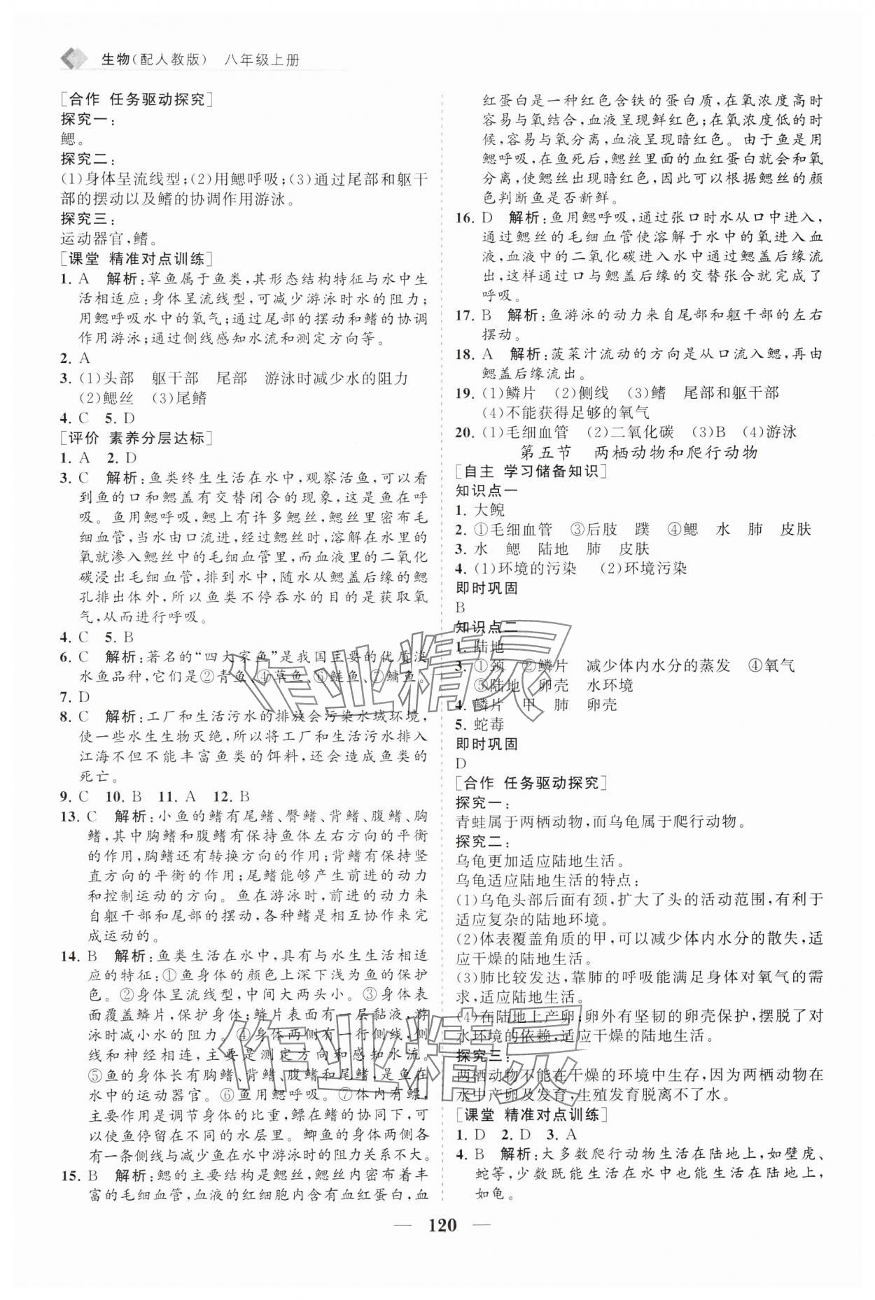 2024年新课程同步练习册八年级生物上册人教版 第4页