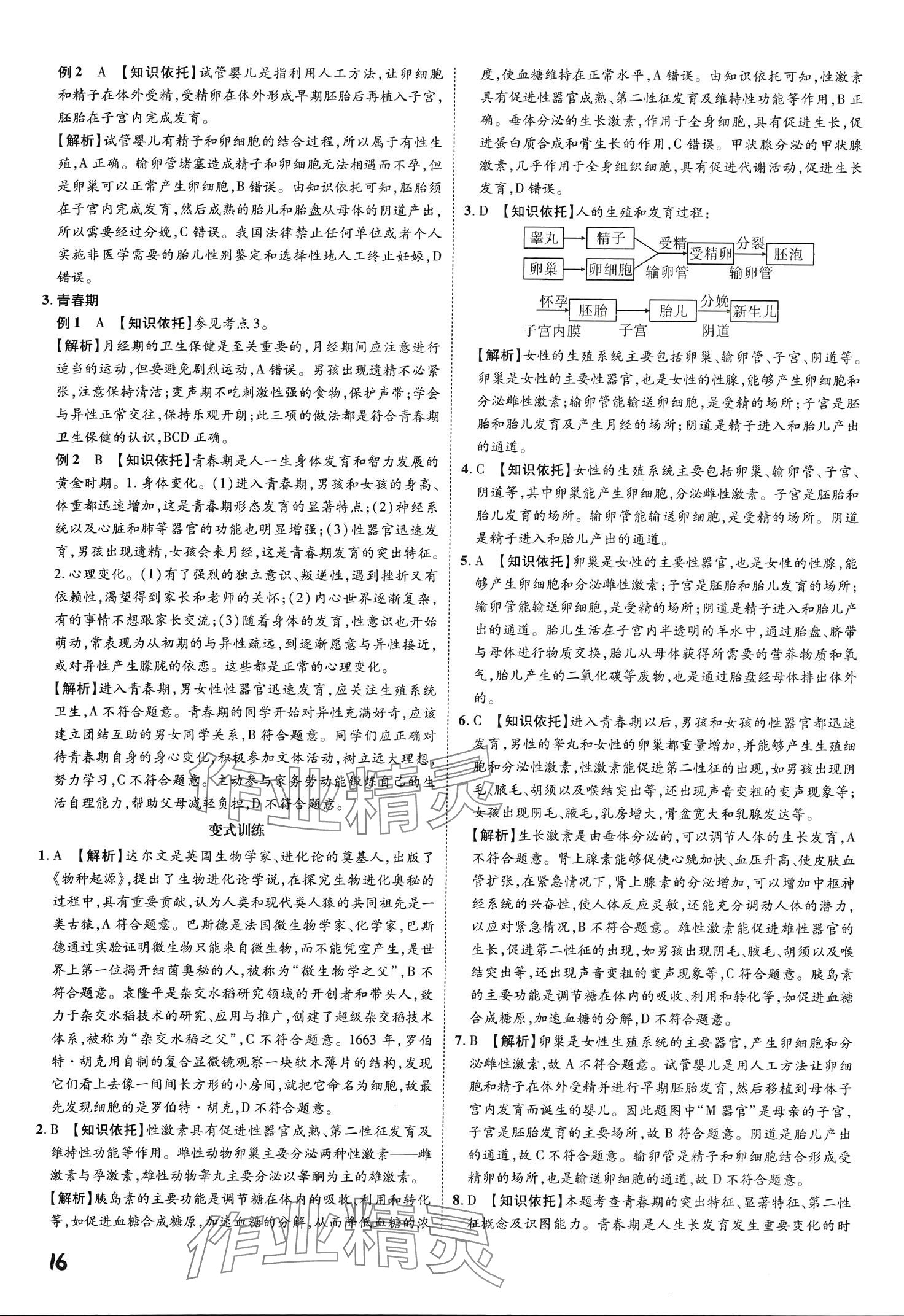 2024年一步名校中考总复习生物&nbsp;第16页