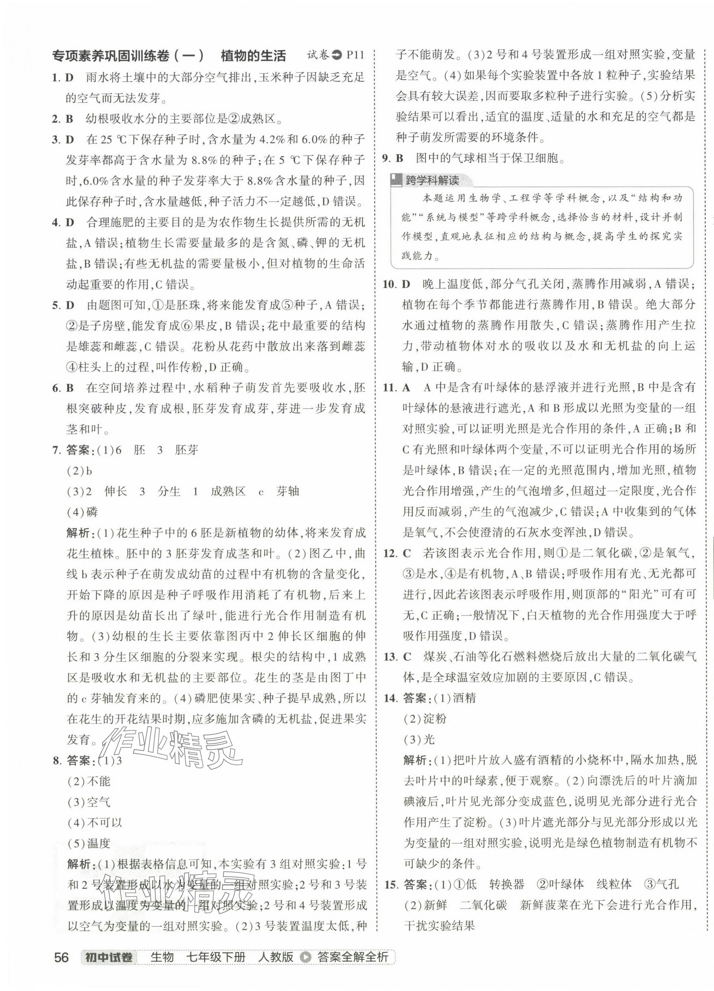 2025年5年中考3年模擬初中試卷七年級生物下冊人教版 第7頁