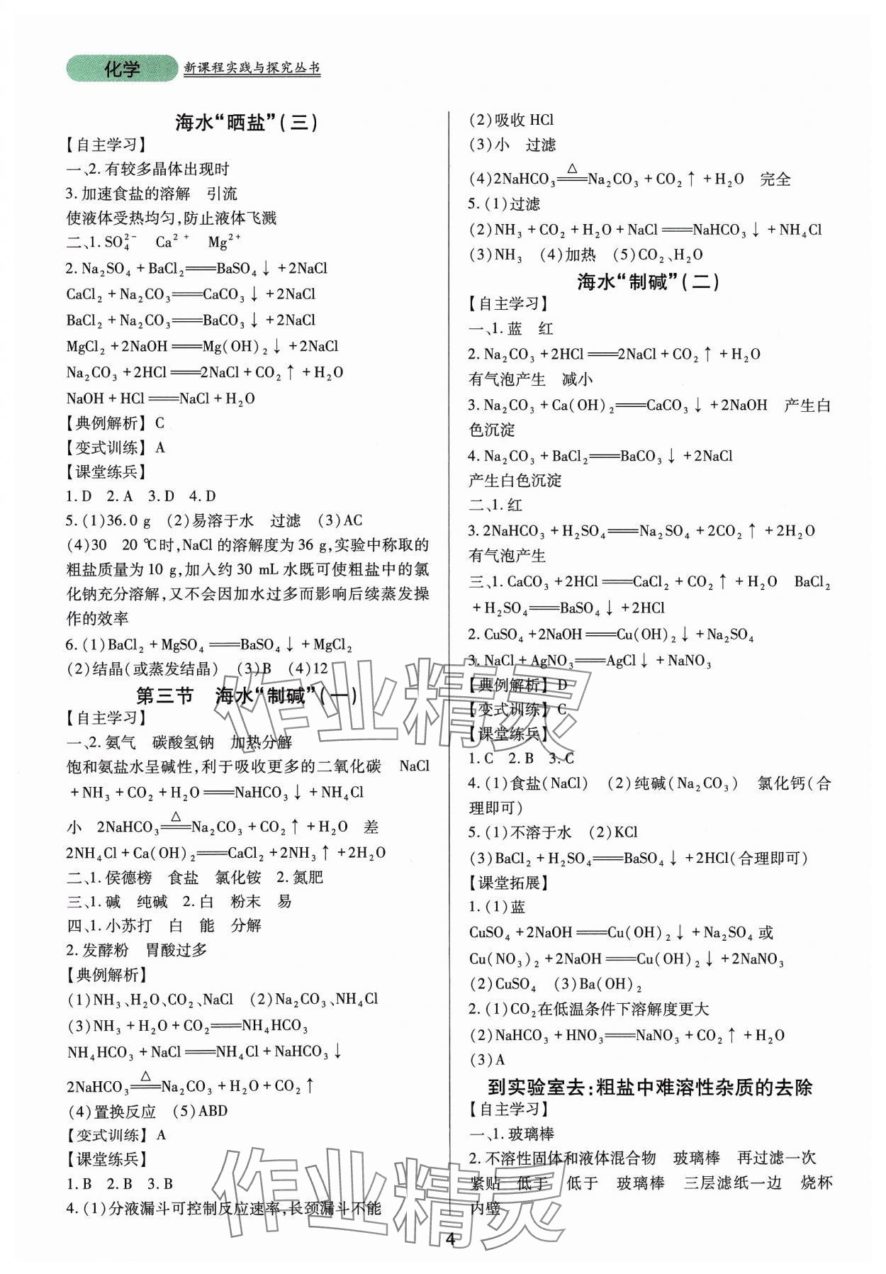 2024年新课程实践与探究丛书九年级化学下册鲁教版 第4页