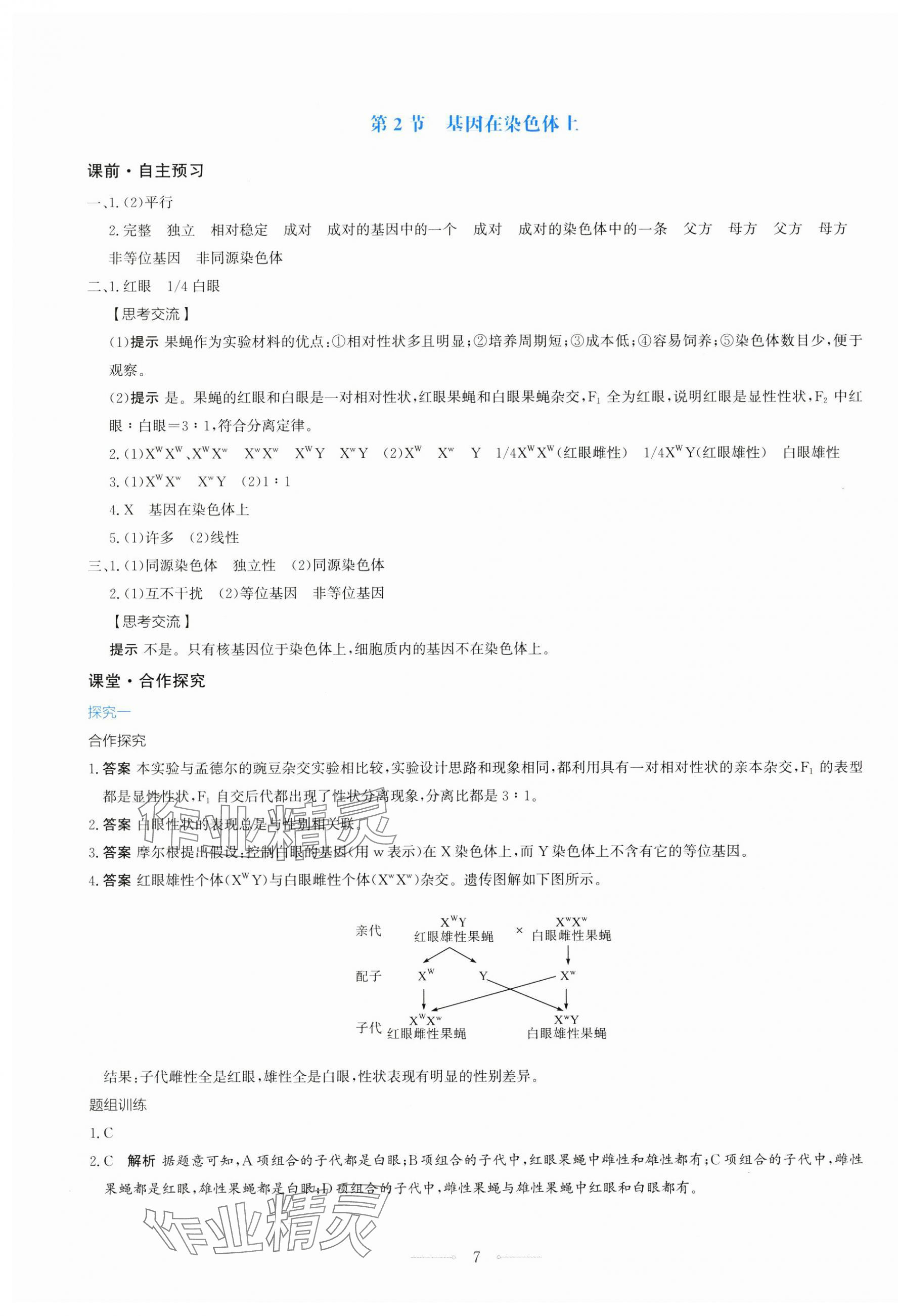 2025年陽光課堂人民教育出版社高中生物必修2人教版 第7頁