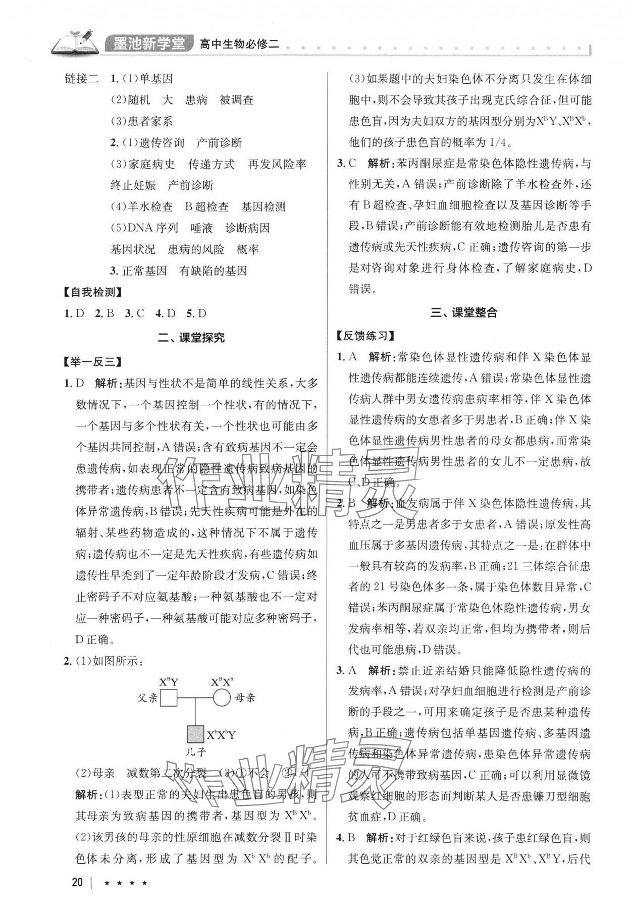 2025年墨池新學堂高中生物必修2人教版 參考答案第20頁