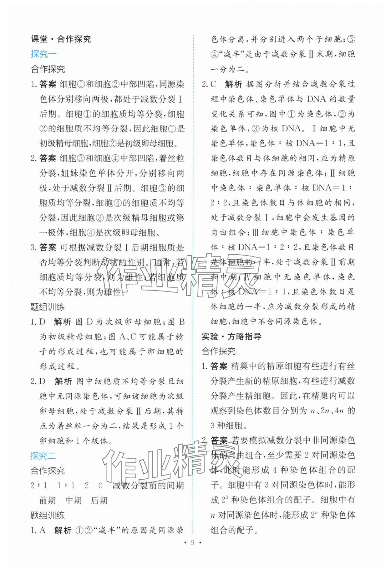 2025年能力培养与测试高中生物必修2人教版 参考答案第8页