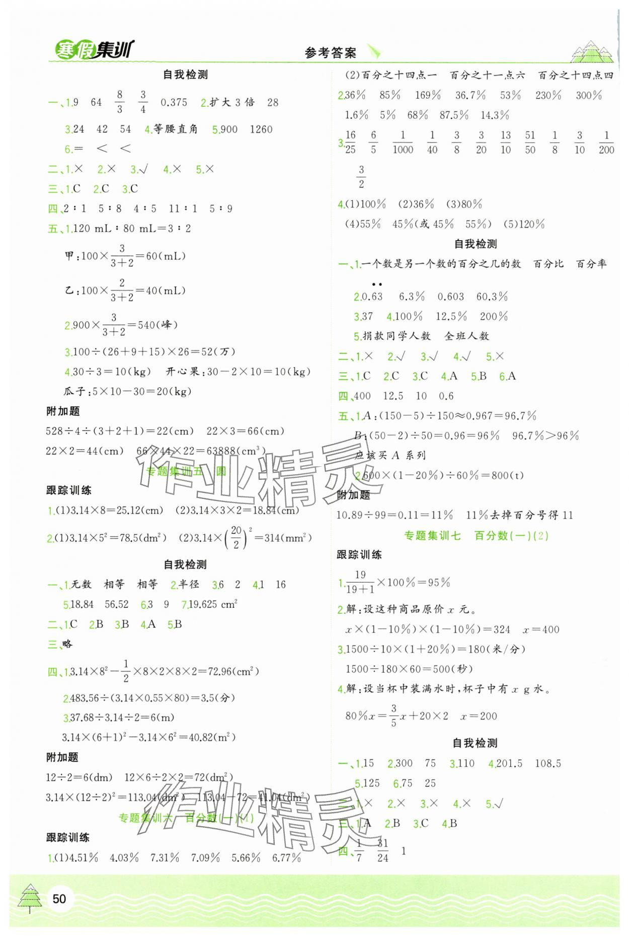 2025年寒假集训合肥工业大学出版社六年级数学人教版 第2页