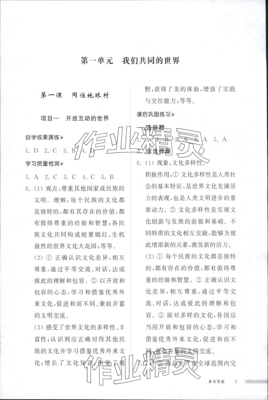 2025年导学与检测九年级道德与法治全一册人教版2 第1页