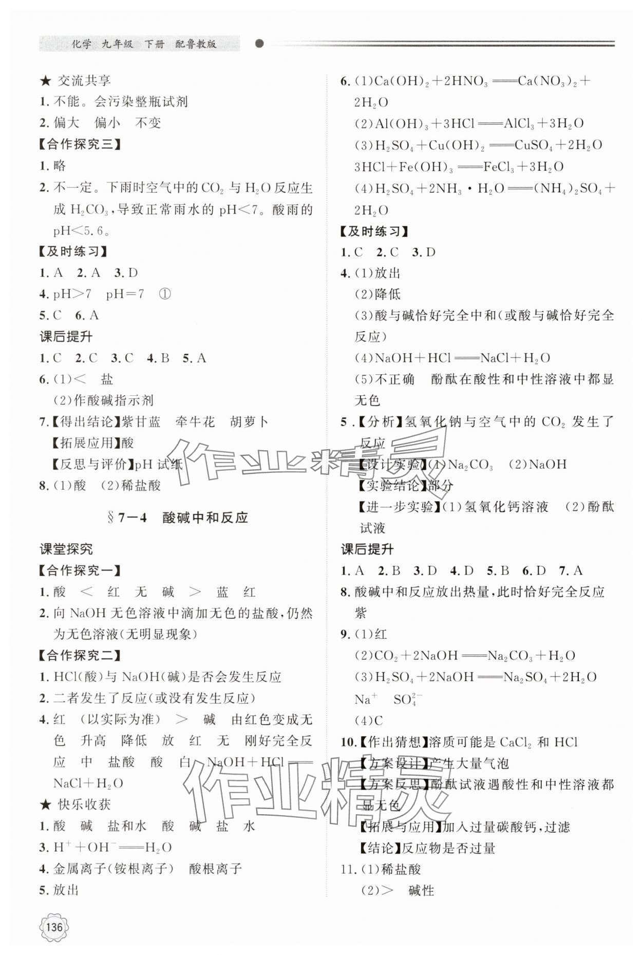 2025年同步練習(xí)冊明天出版社九年級化學(xué)下冊魯教版 第4頁