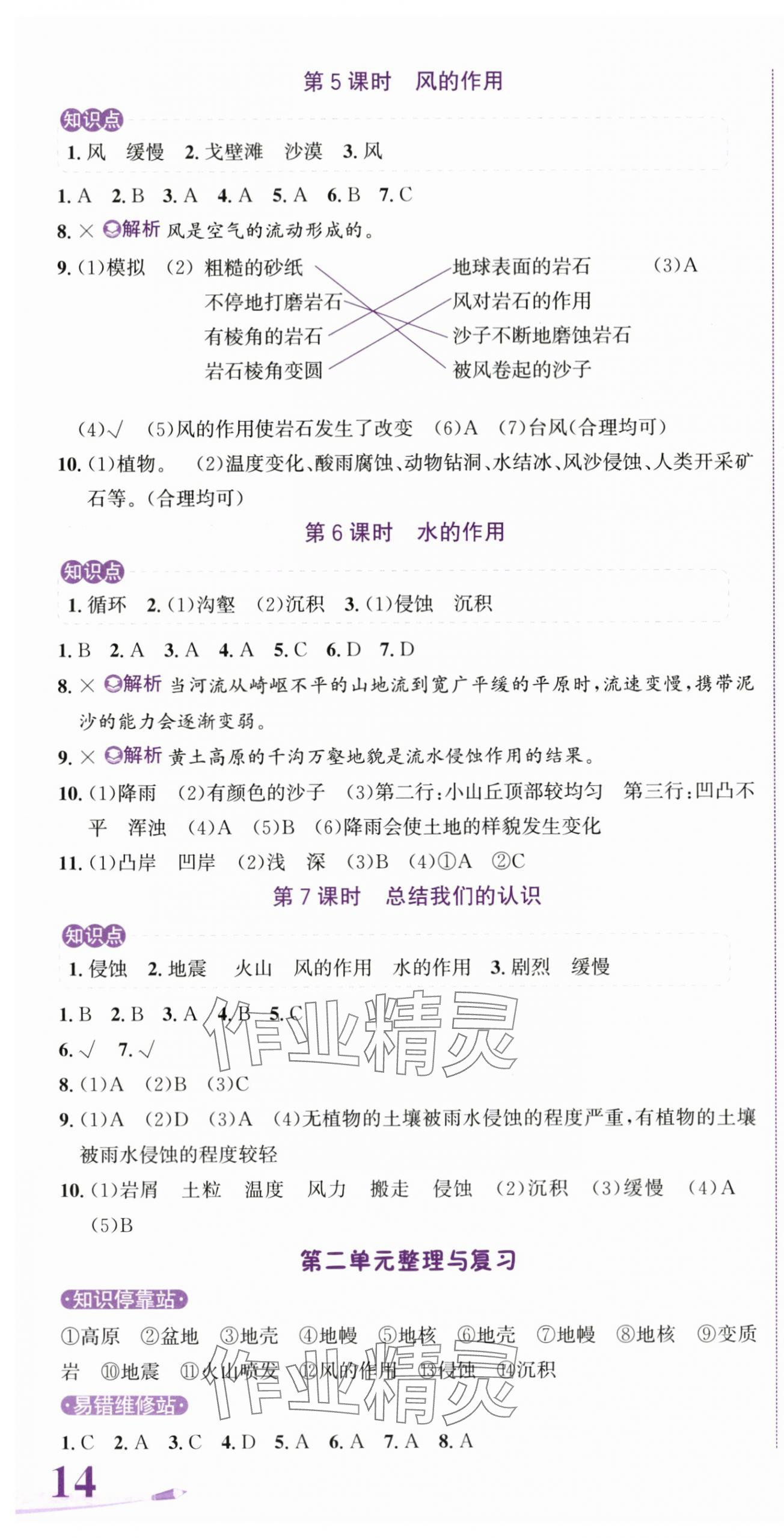 2025年奔跑吧少年五年级科学上册教科版&nbsp;第5页