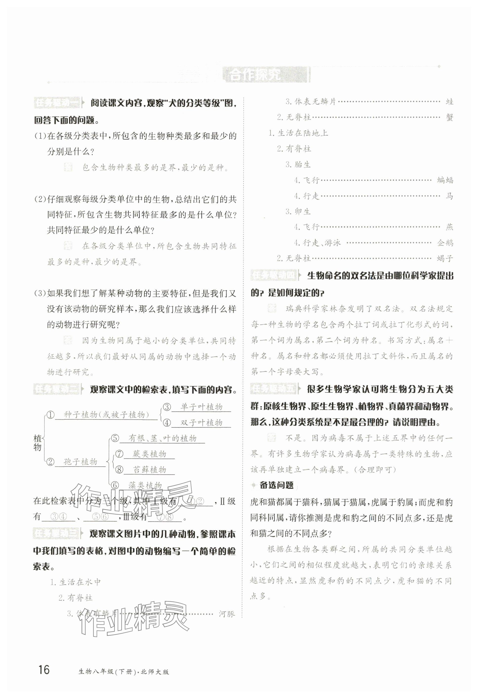 2025年金太陽(yáng)導(dǎo)學(xué)案八年級(jí)生物下冊(cè)北師大版 參考答案第15頁(yè)