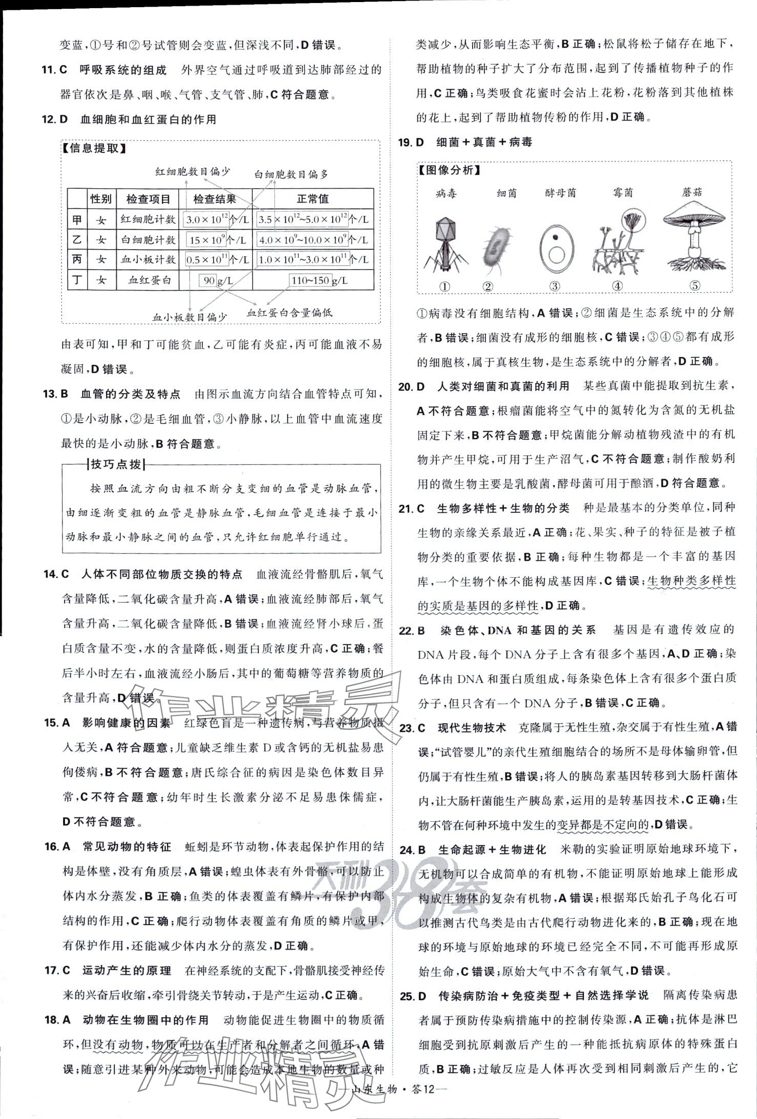 2024年天利38套中考試題精選生物中考山東專版 第12頁