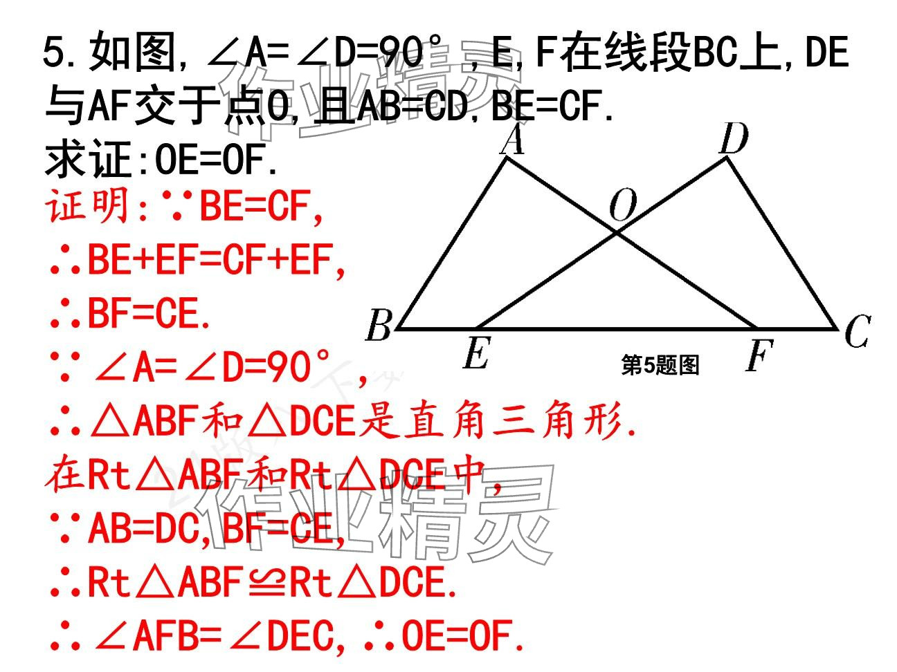 2025年一本通武漢出版社八年級(jí)數(shù)學(xué)下冊(cè)北師大版核心板 參考答案第51頁