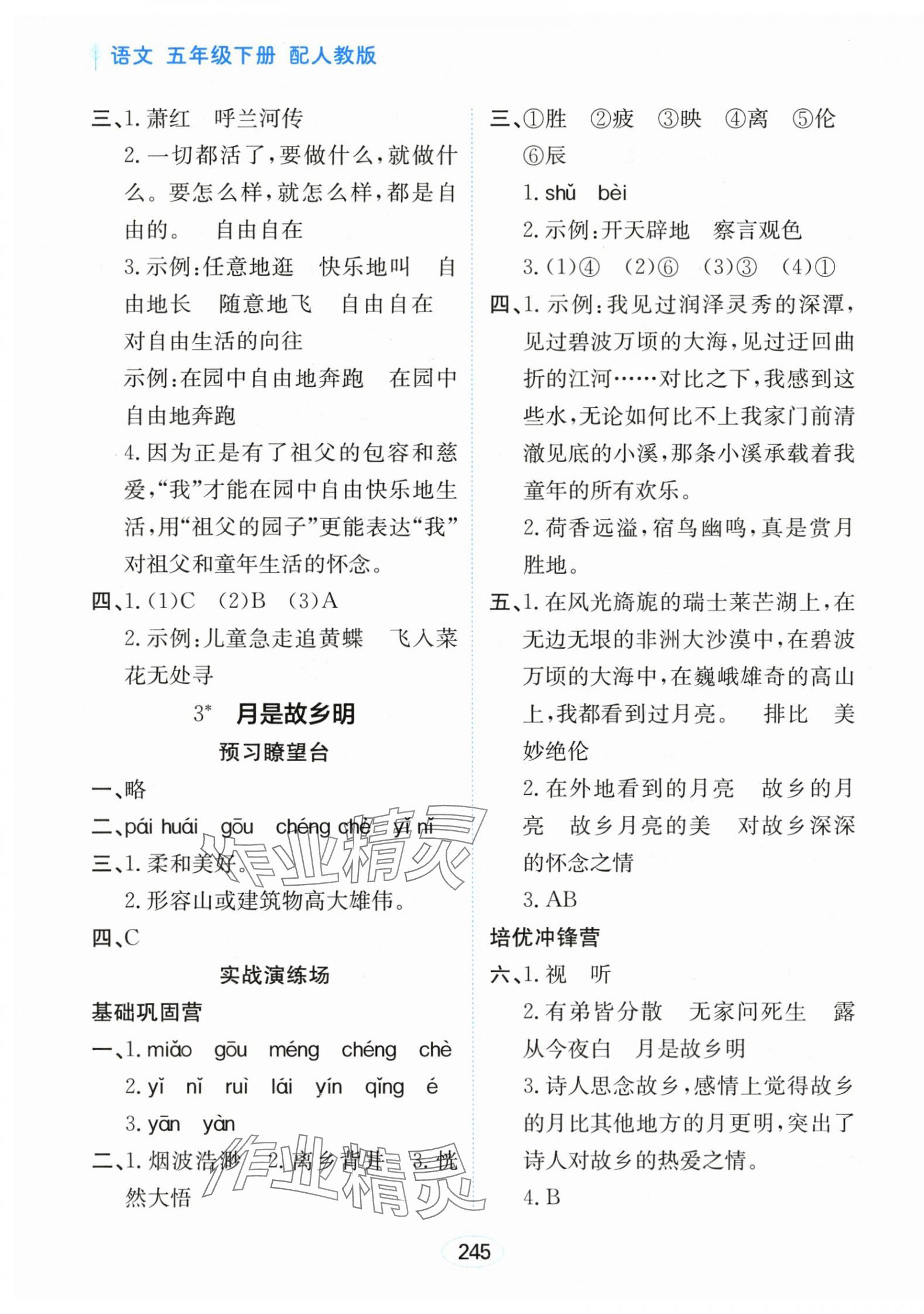 2025年資源與評價黑龍江教育出版社五年級語文下冊人教版大慶專版 第3頁