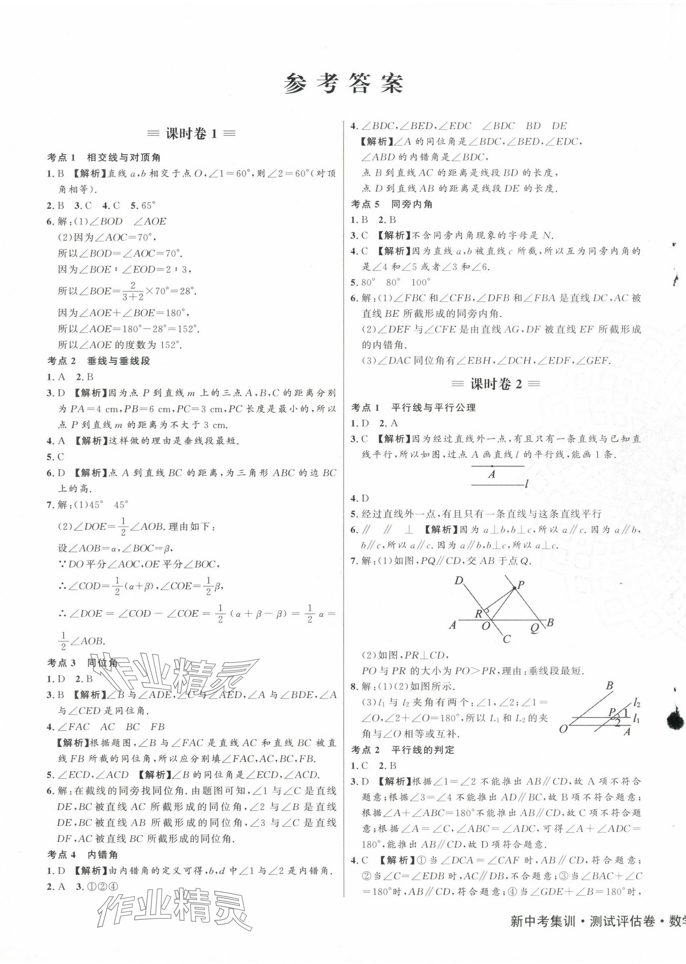 2024年新中考集訓測試評估卷七年級數(shù)學下冊人教版 第1頁