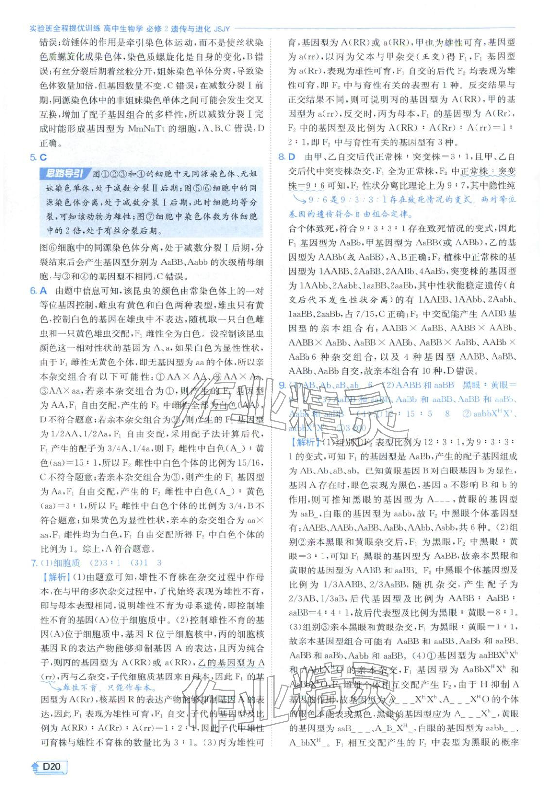 2026年實(shí)驗(yàn)班提優(yōu)訓(xùn)練高中生物必修第二冊(cè)蘇教版&nbsp;第20頁(yè)