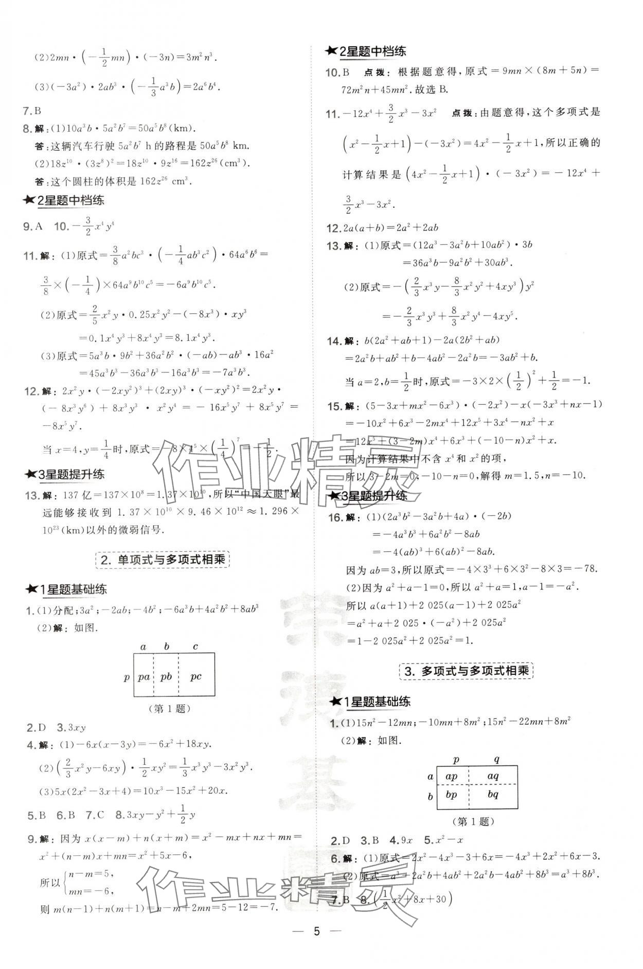 2024年点拨训练八年级数学上册华师大版 第5页