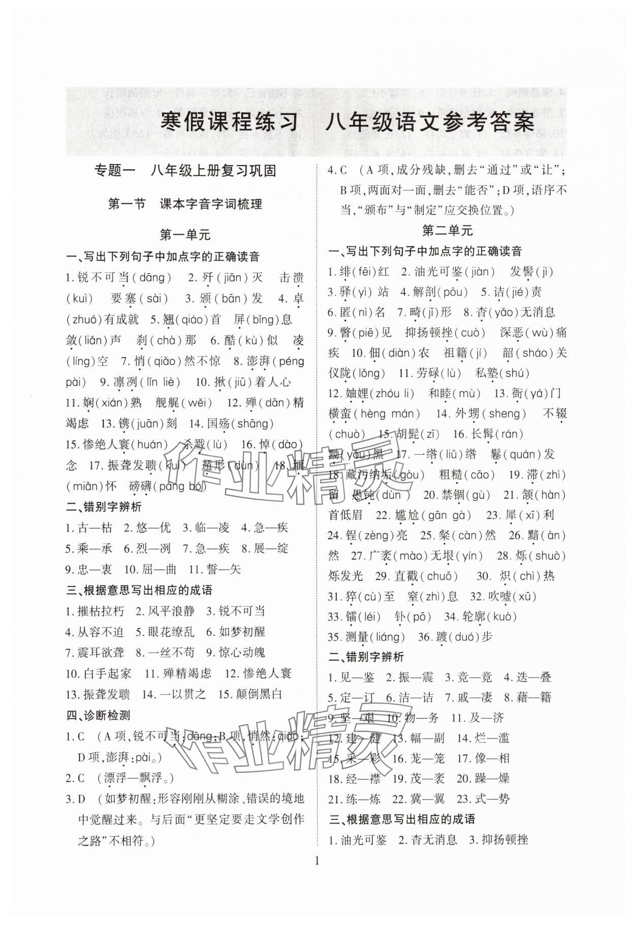 2025年寒假课程练习天津教育出版社八年级语文人教版 第1页