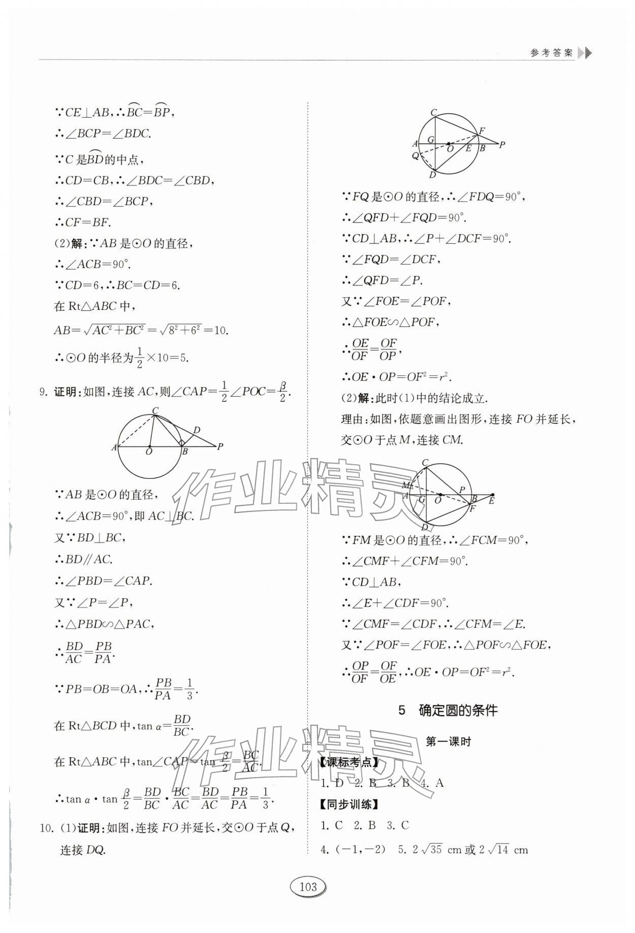 2026年初中同步练习册九年级数学下册鲁教版54制山东科学技术出版社&nbsp;第7页