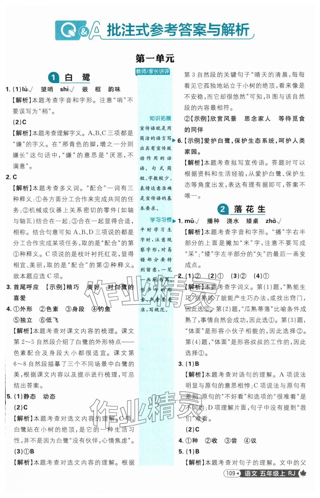 2025年小學必刷題五年級語文上冊人教版 參考答案第1頁