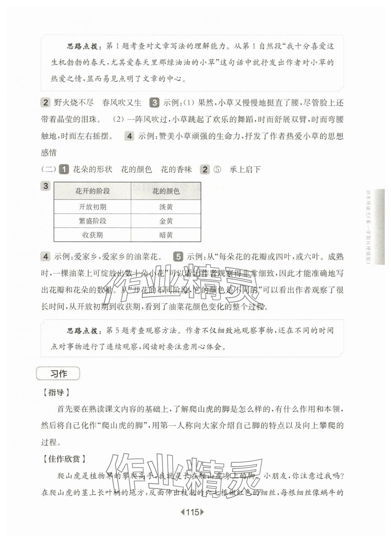 2025年華東師大版一課一練四年級語文上冊人教版54制增強(qiáng)版 第9頁