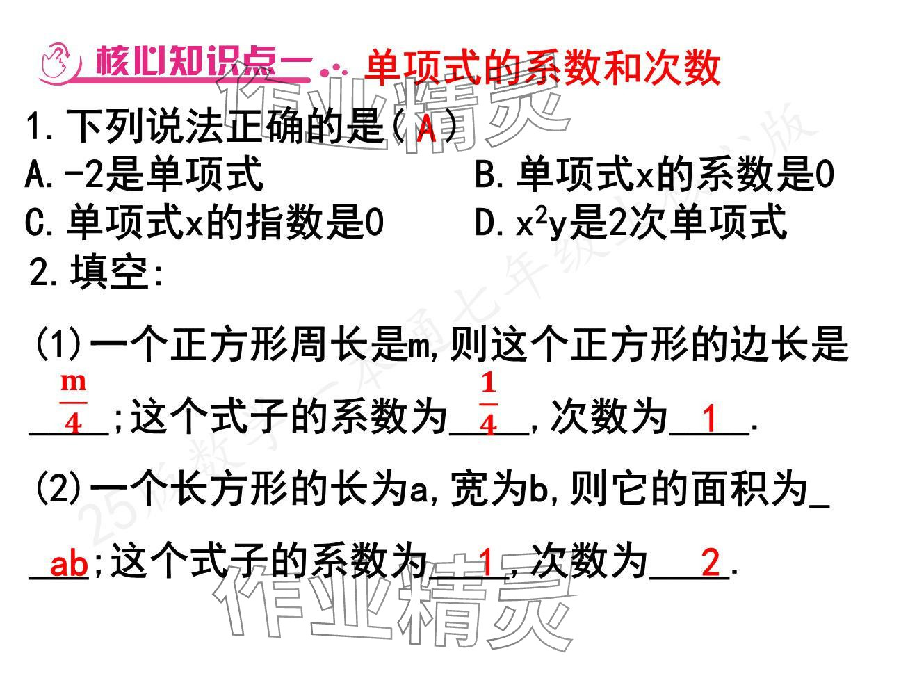 2024年一本通武漢出版社七年級數(shù)學(xué)上冊北師大版核心板 參考答案第23頁