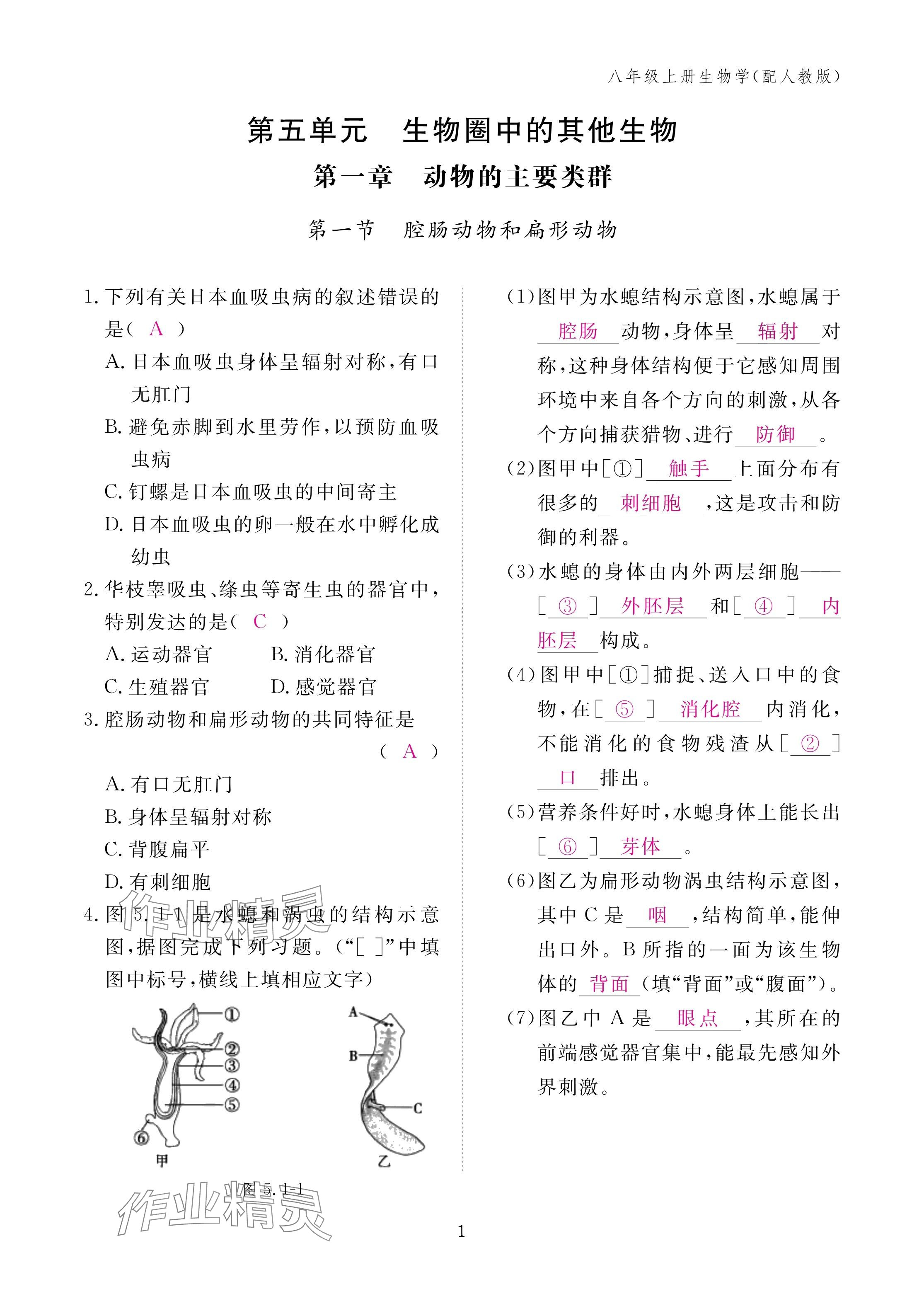 2024年作業(yè)本江西教育出版社八年級生物上冊人教版 第1頁